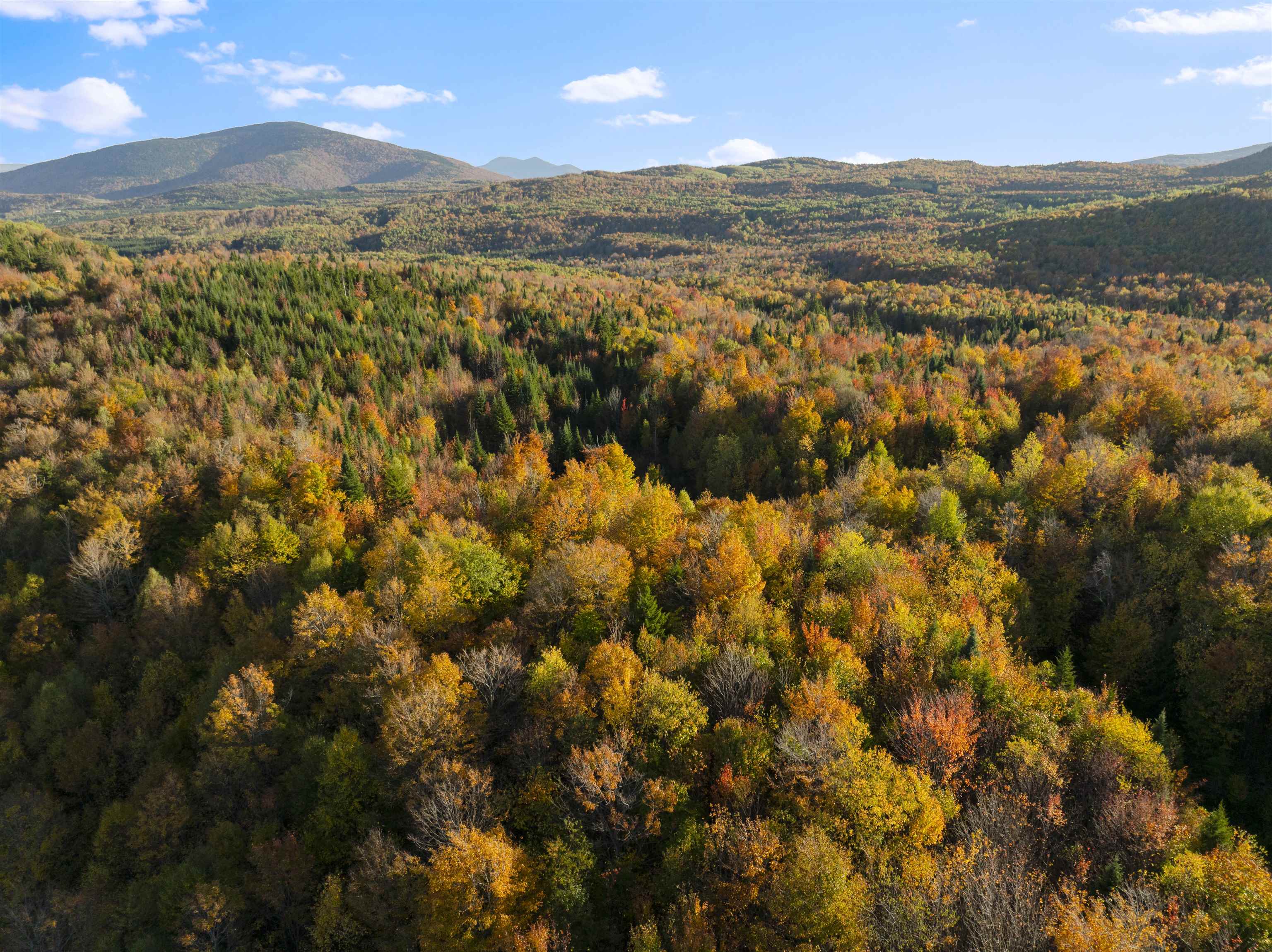 MLS #5067914 image #48