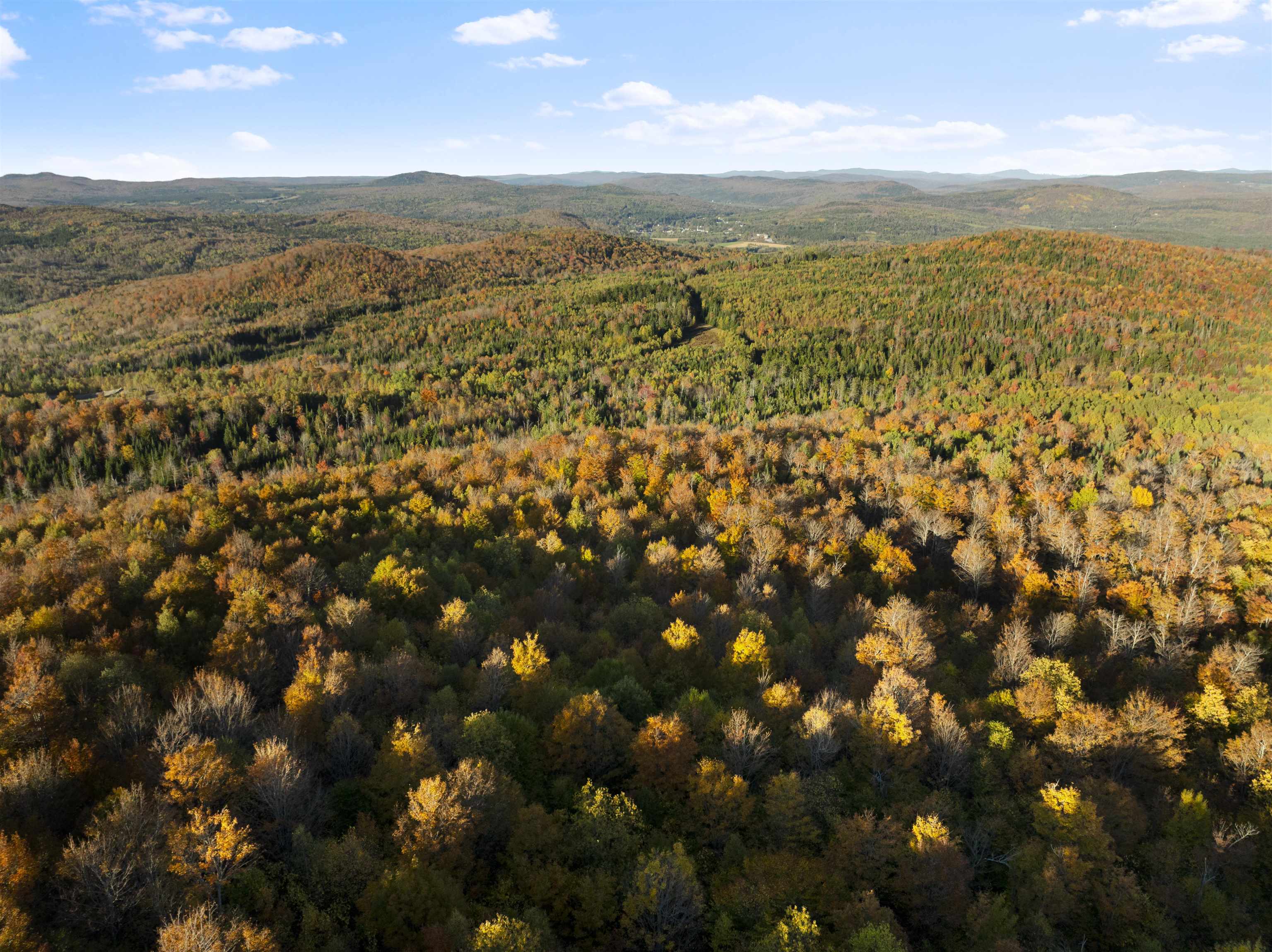 MLS #5067914 image #49