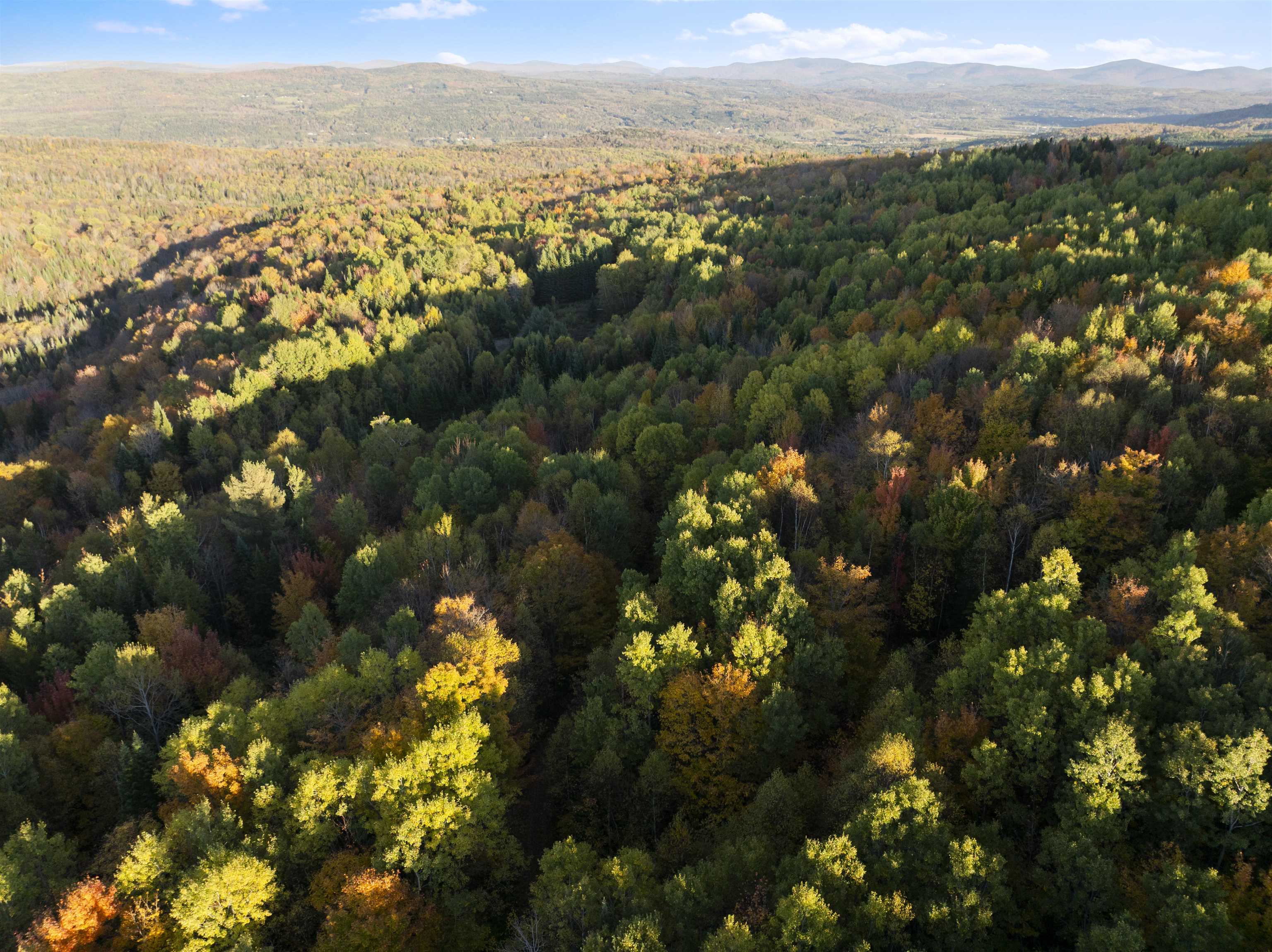 MLS #5067914 image #52