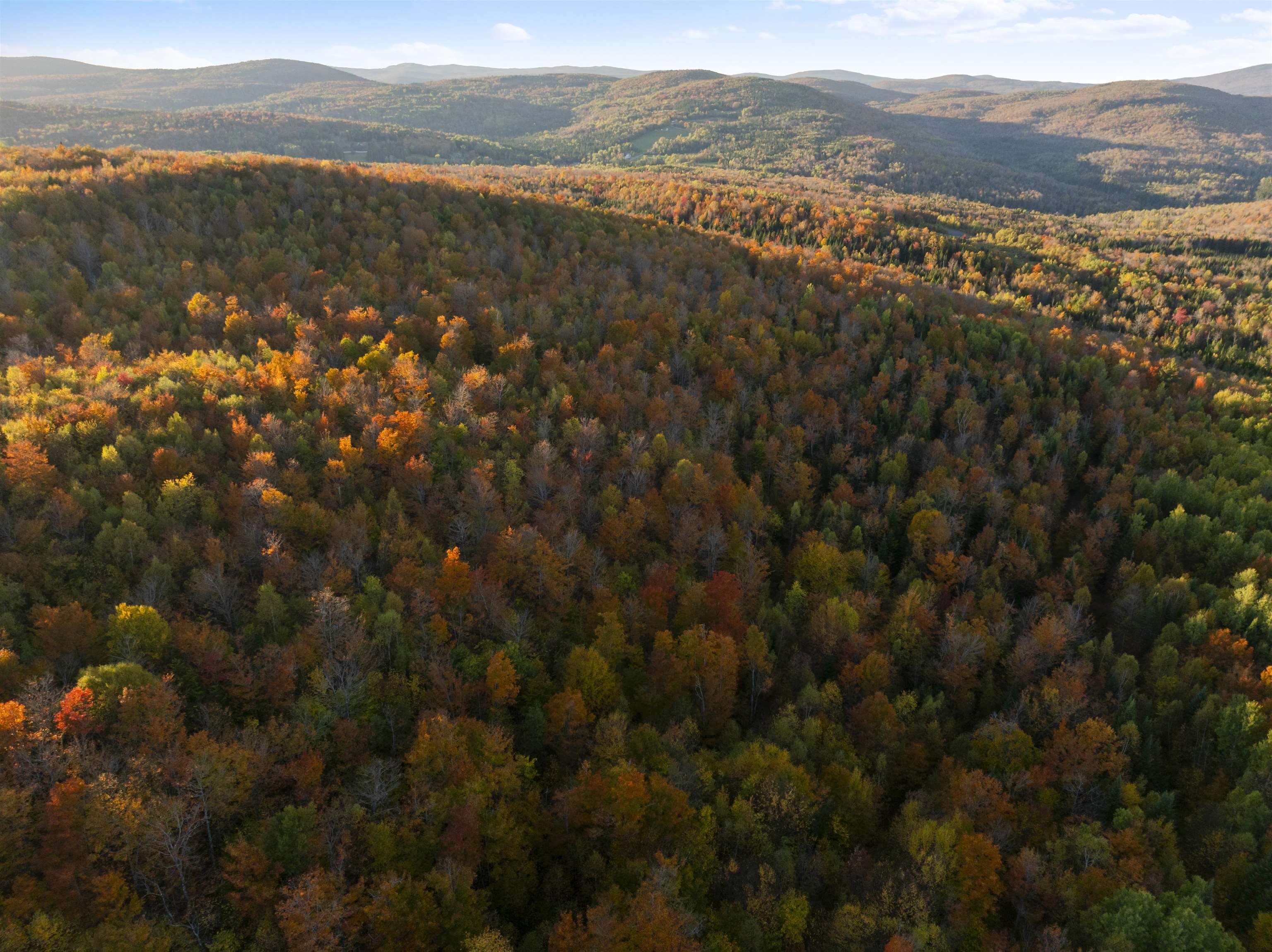 MLS #5067914 image #53