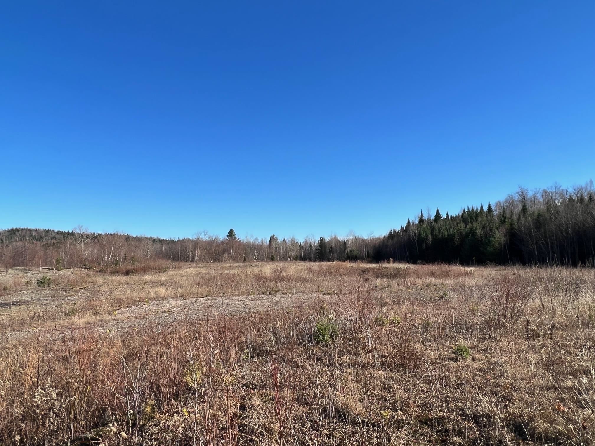 MLS #5067914 image #55