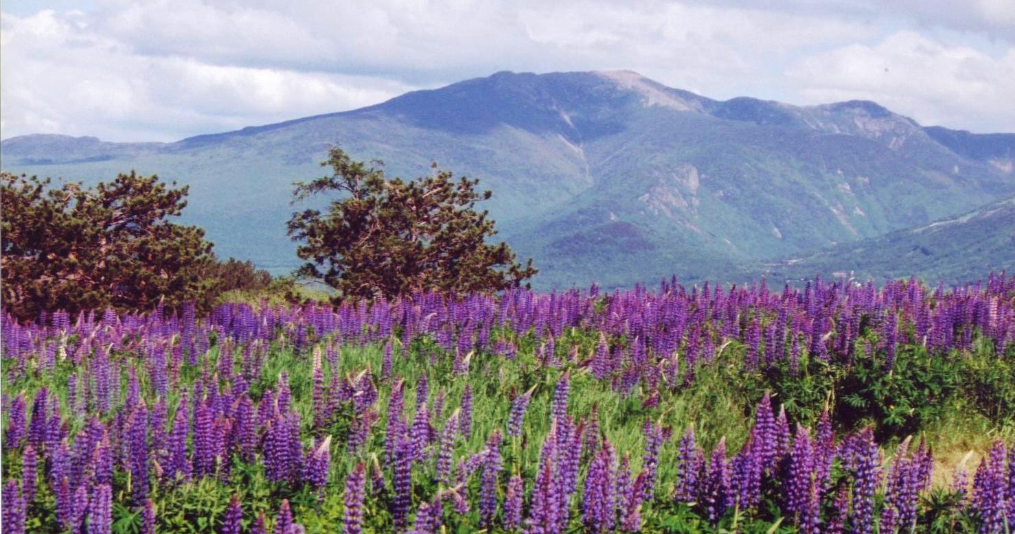 Homes for sale in Franconia, NH | 359 Bickford Hill Rd, Franconia, NH 03580 | MLS# 5067942