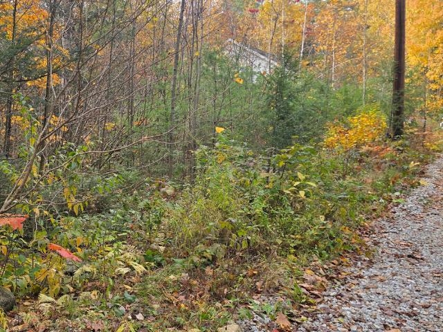 Hillsborough NH Land for sale $$29,900 | 0.3 Acres  | Price Per Acre $0  | Total Lots 2