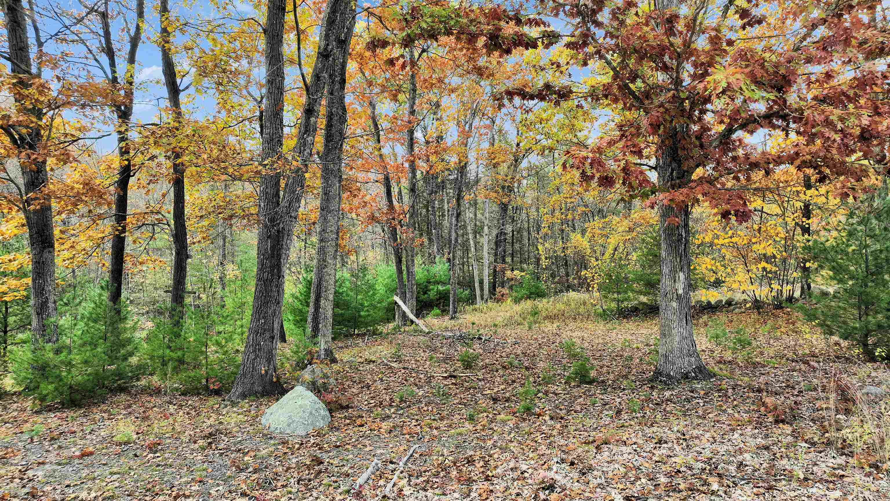 7 Winterberry Rd, Brookline, NH 03033