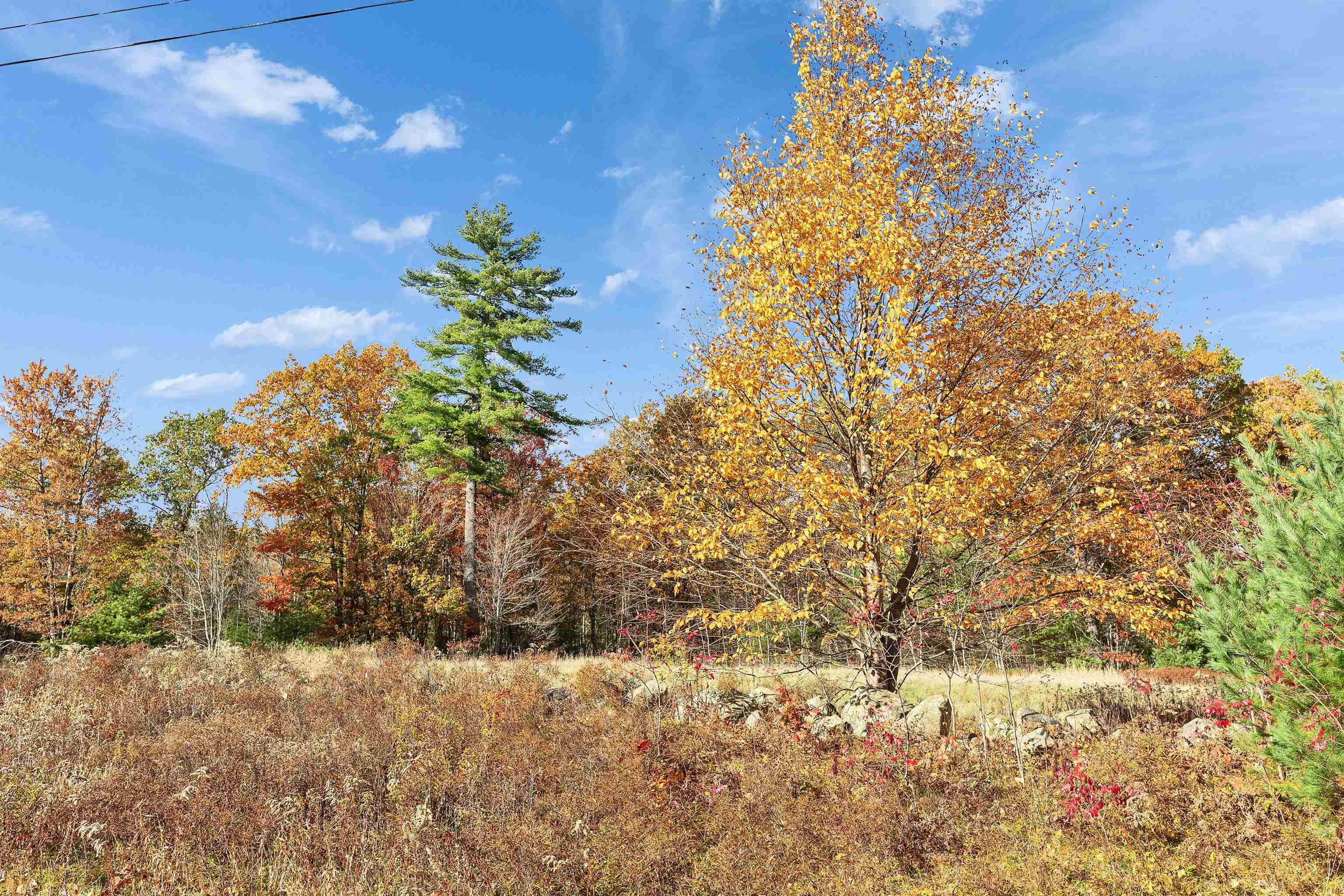 9 Winterberry Rd, Brookline, NH 03033