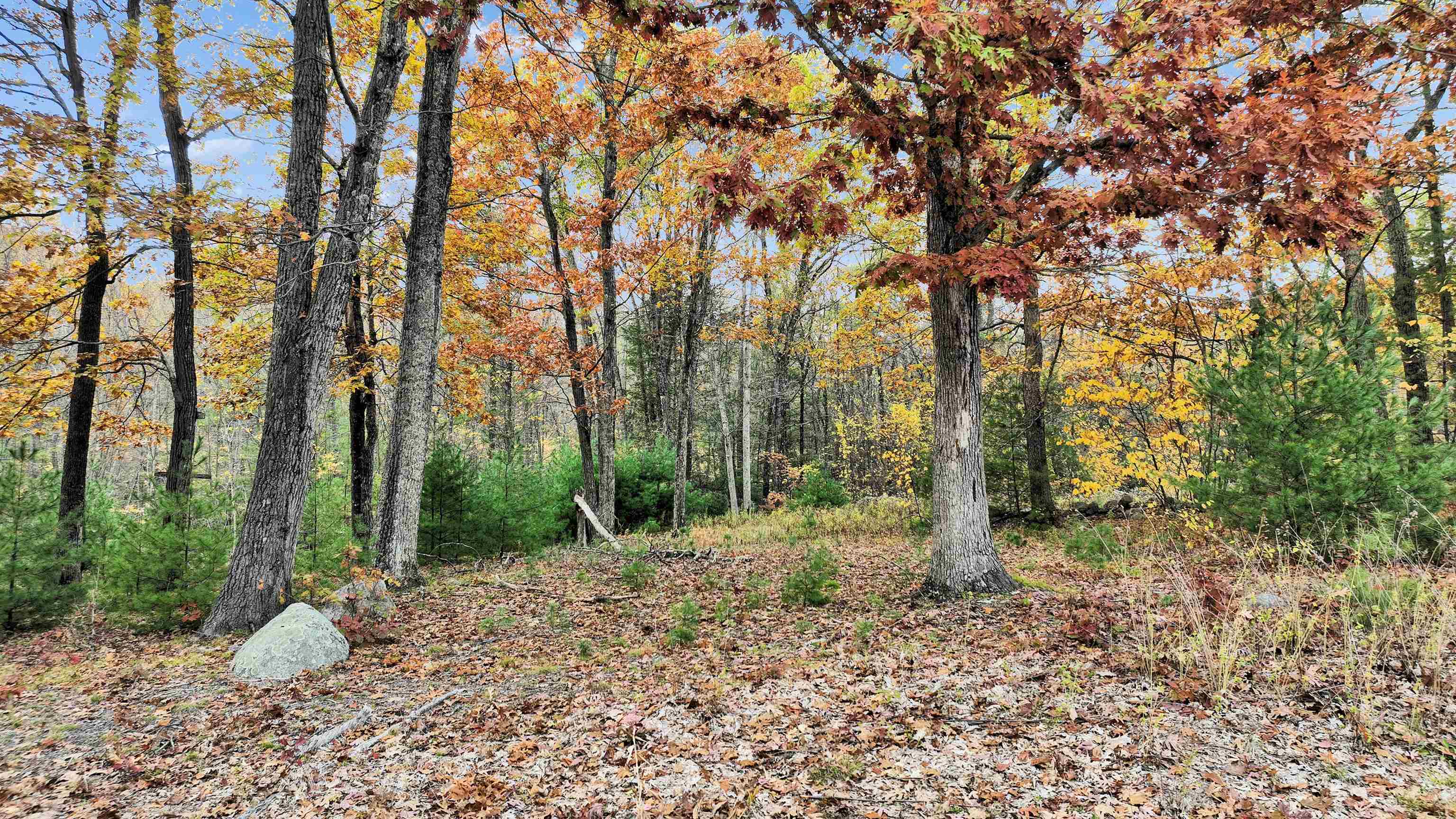 9 Winterberry Rd, Brookline, NH 03033