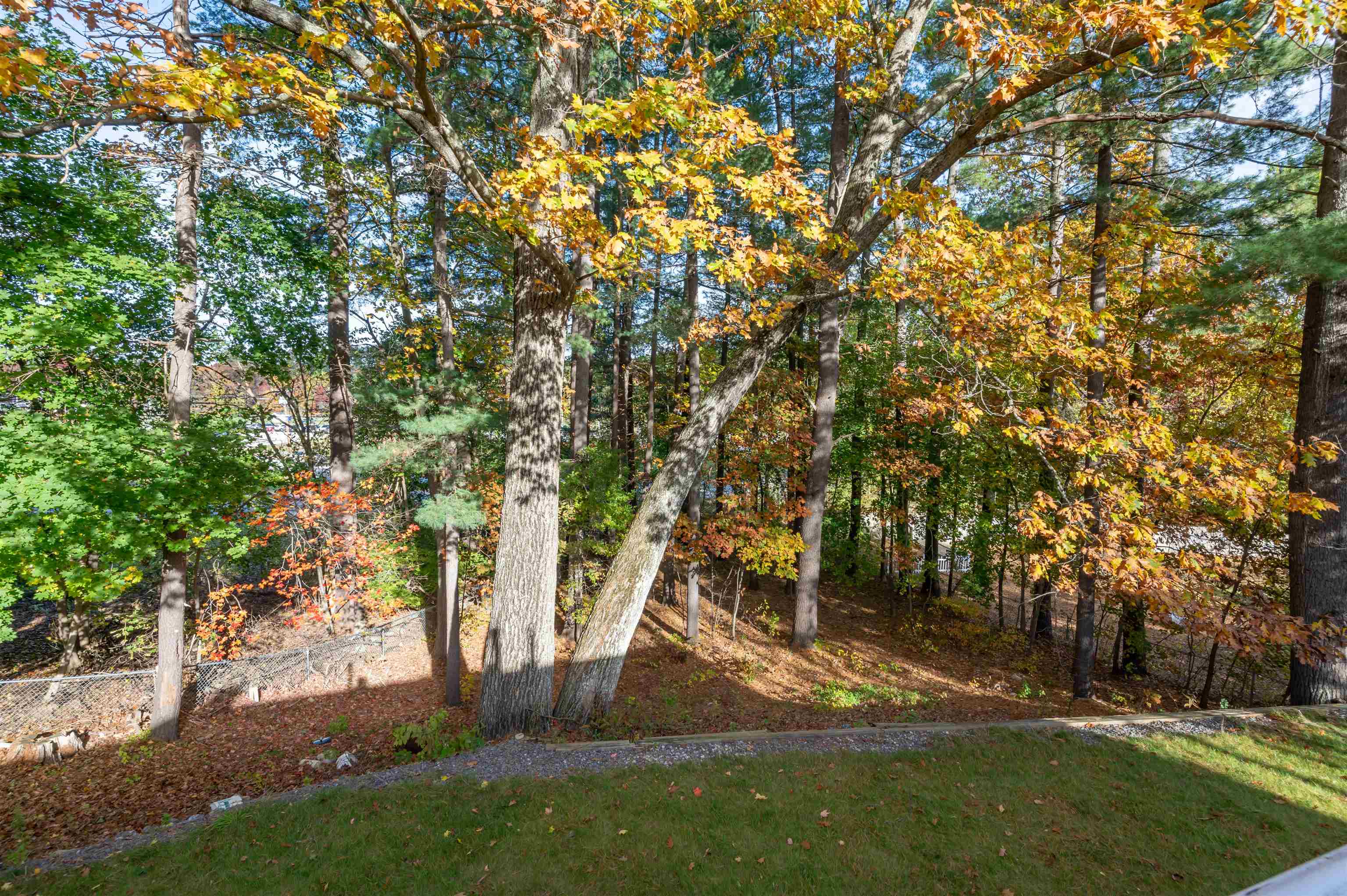 MLS #5068064 image #4