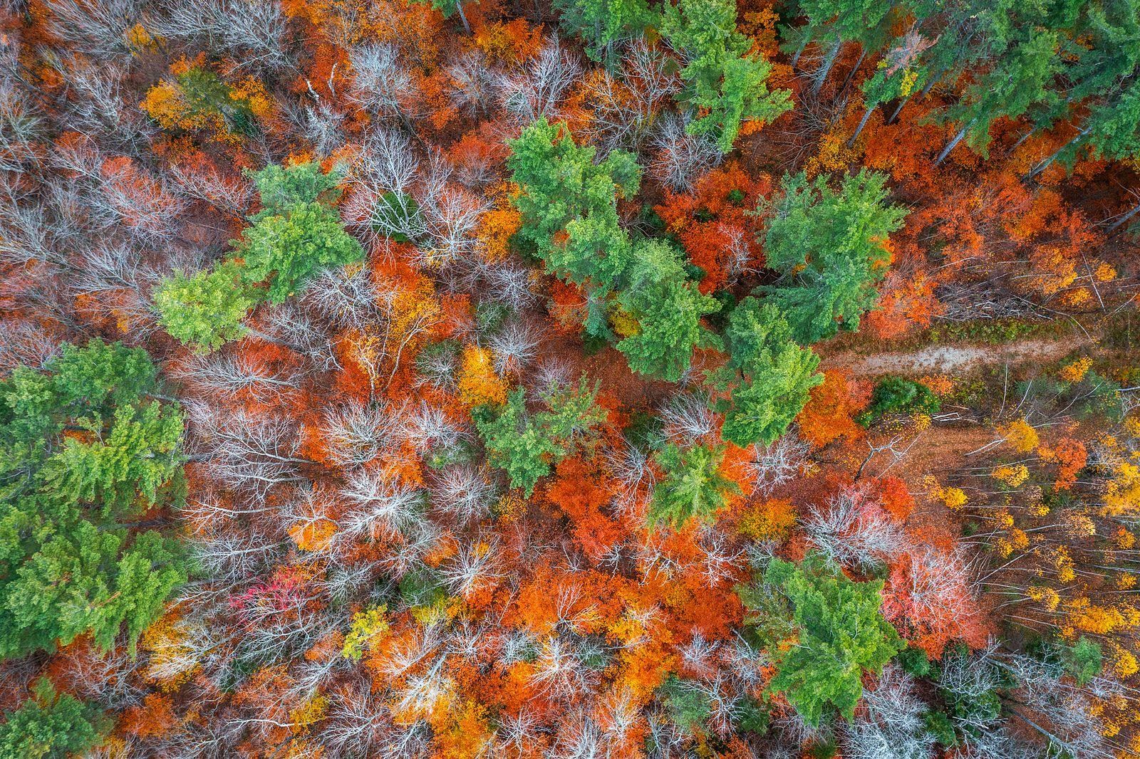 Homes for sale in Londonderry, VT | 0 Howard Hill Rd, Londonderry, VT 05148 | MLS# 5068070