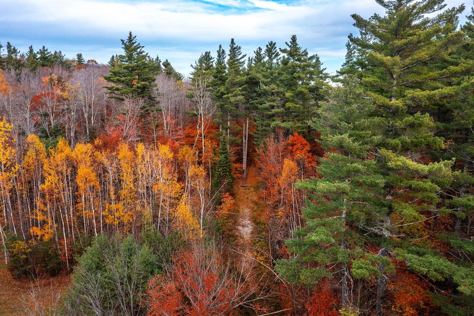 Homes for sale in Londonderry, VT | 0 Howard Hill Rd, Londonderry, VT 05148 | MLS# 5068070
