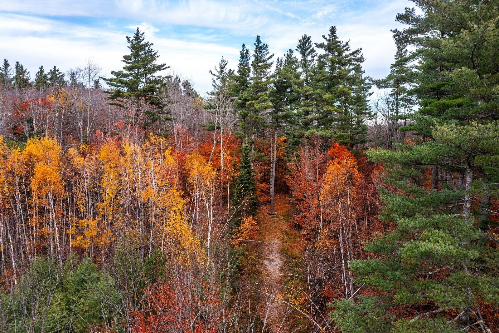 Homes for sale in Londonderry, VT | 0 Howard Hill Rd, Londonderry, VT 05148 | MLS# 5068070