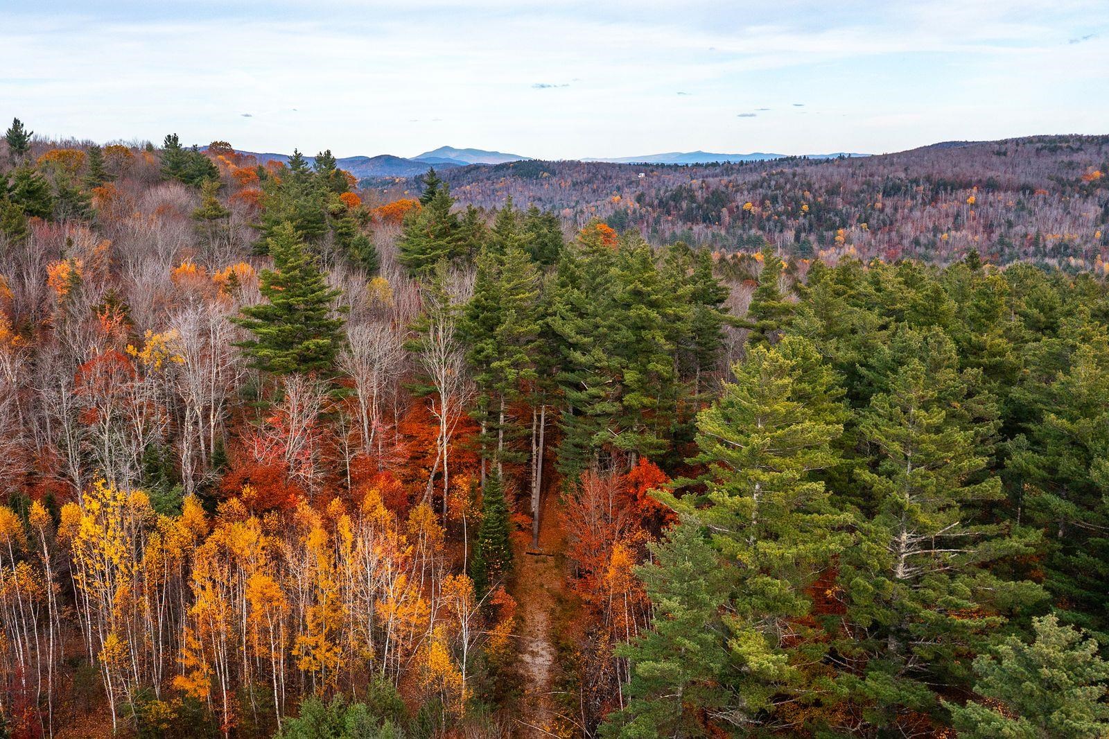 Homes for sale in Londonderry, VT | 0 Howard Hill Rd, Londonderry, VT 05148 | MLS# 5068070