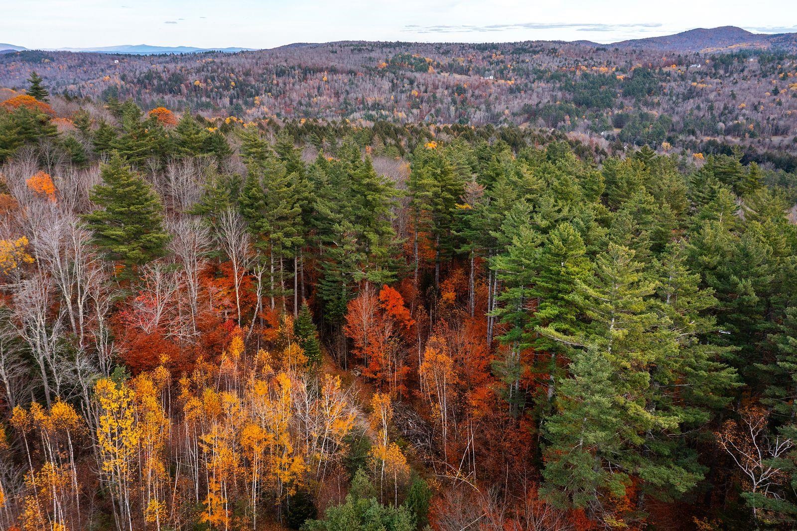 Homes for sale in Londonderry, VT | 0 Howard Hill Rd, Londonderry, VT 05148 | MLS# 5068070