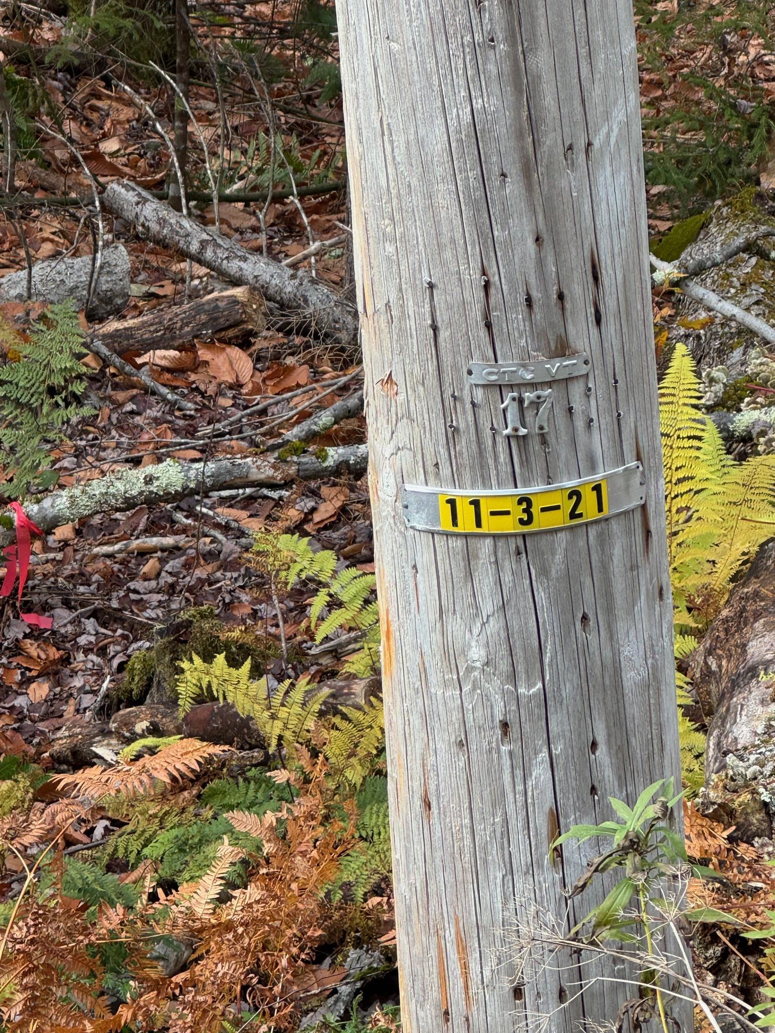 Homes for sale in Plymouth, VT | 00 Hawk Spur Rd, Plymouth, VT 05056 | MLS# 5068086