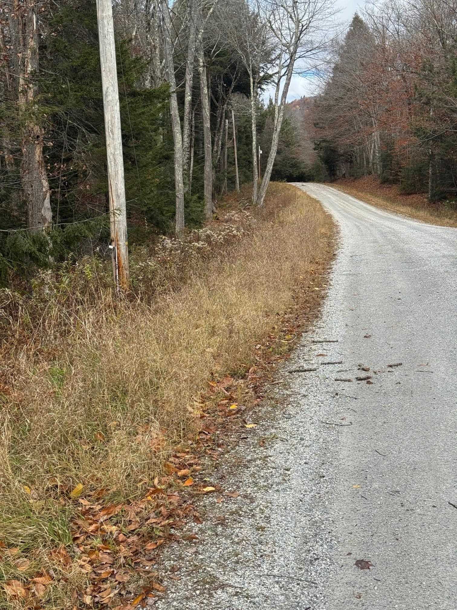 Homes for sale in Plymouth, VT | 00 Hawk Spur Rd, Plymouth, VT 05056 | MLS# 5068086