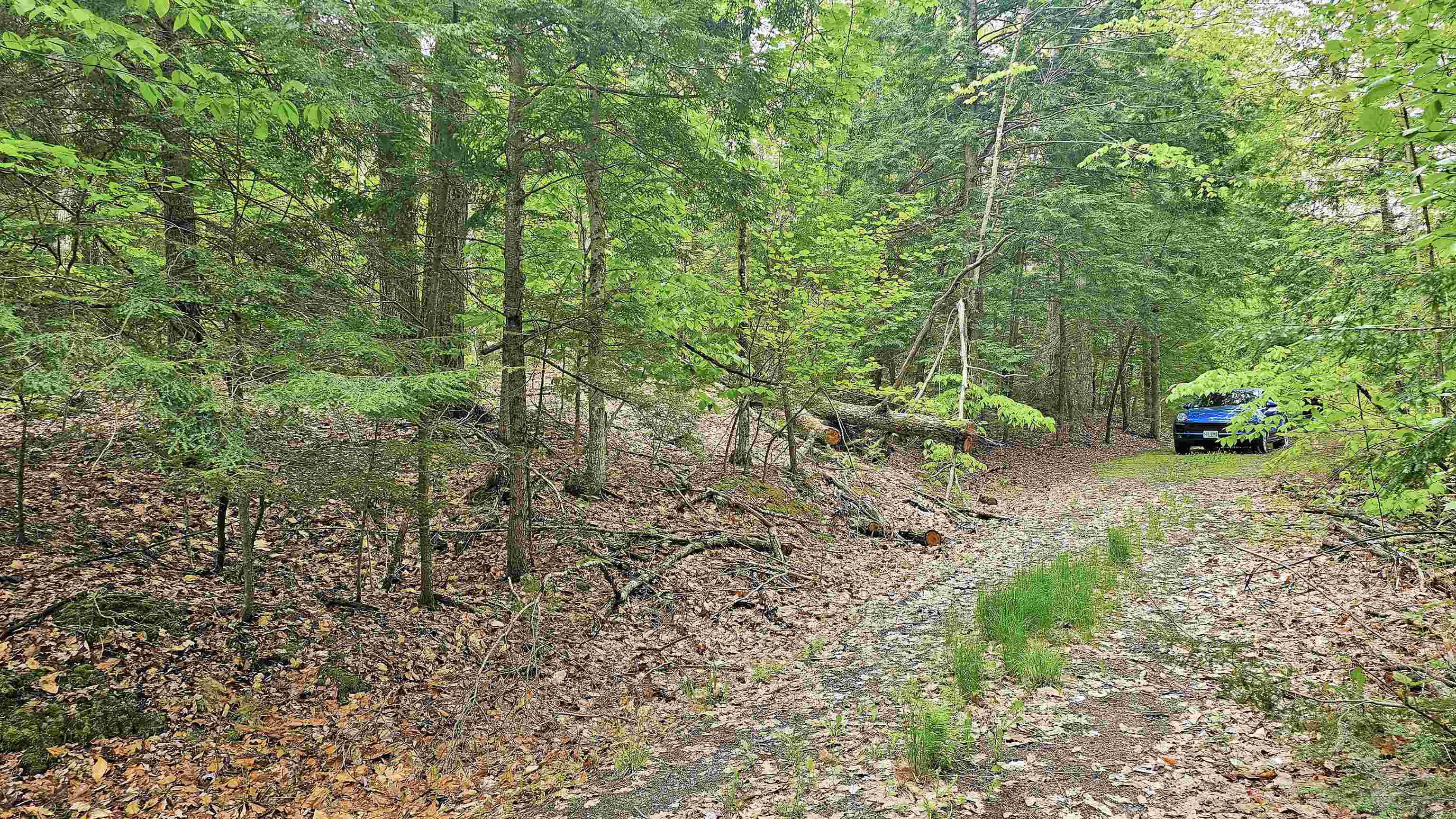 MLS #5068123 image #22