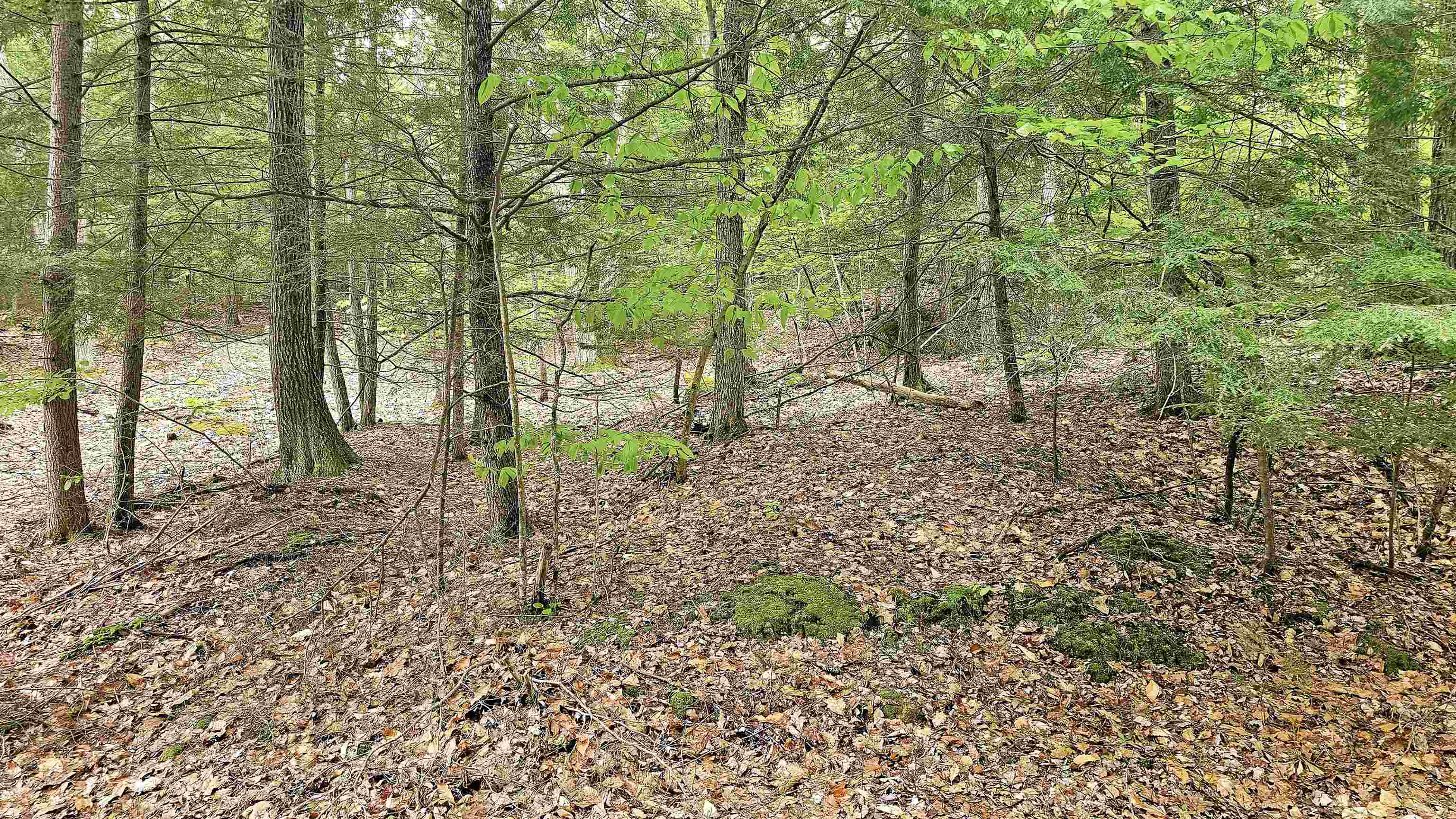 MLS #5068123 image #23