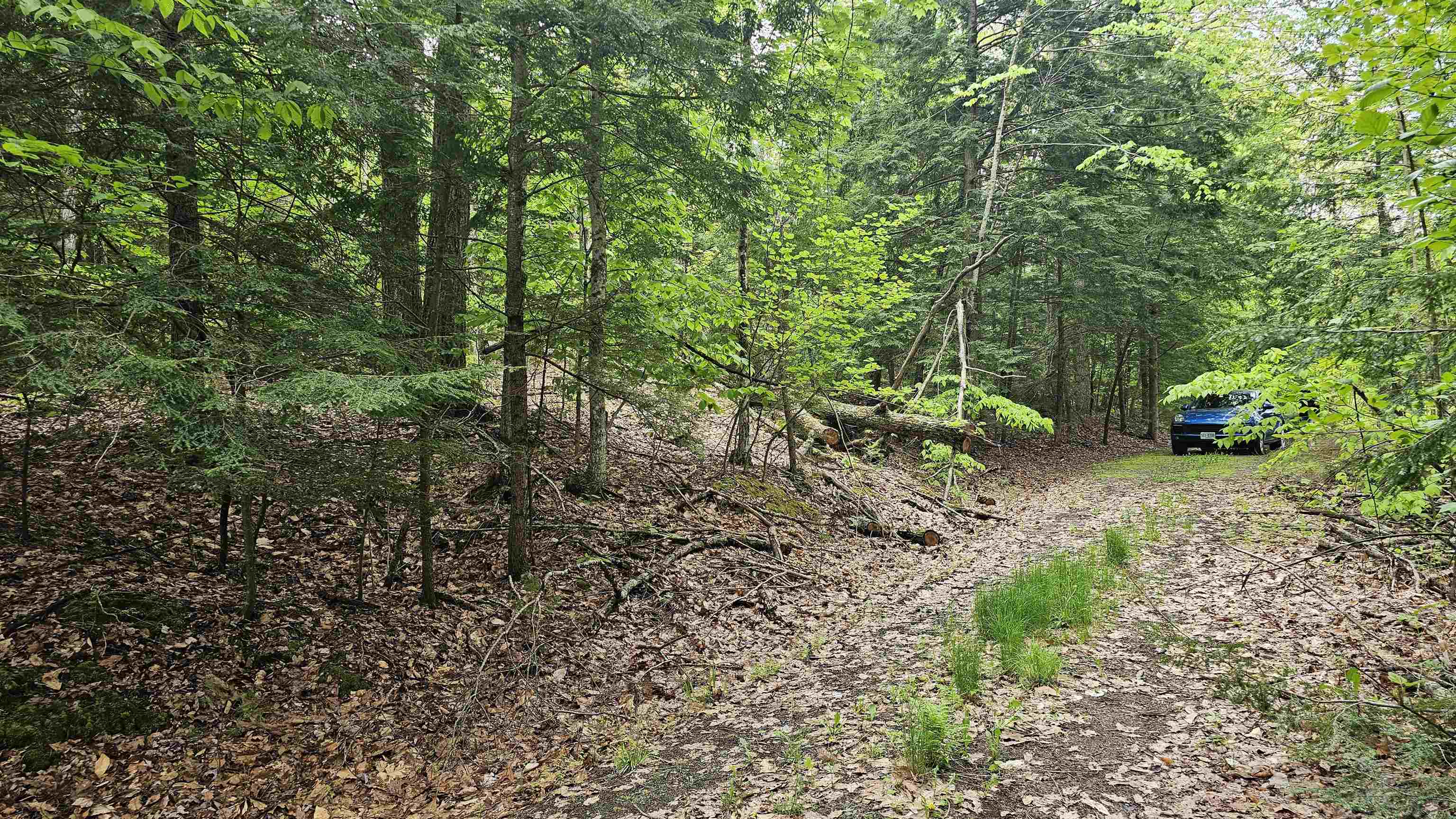 MLS #5068123 image #24