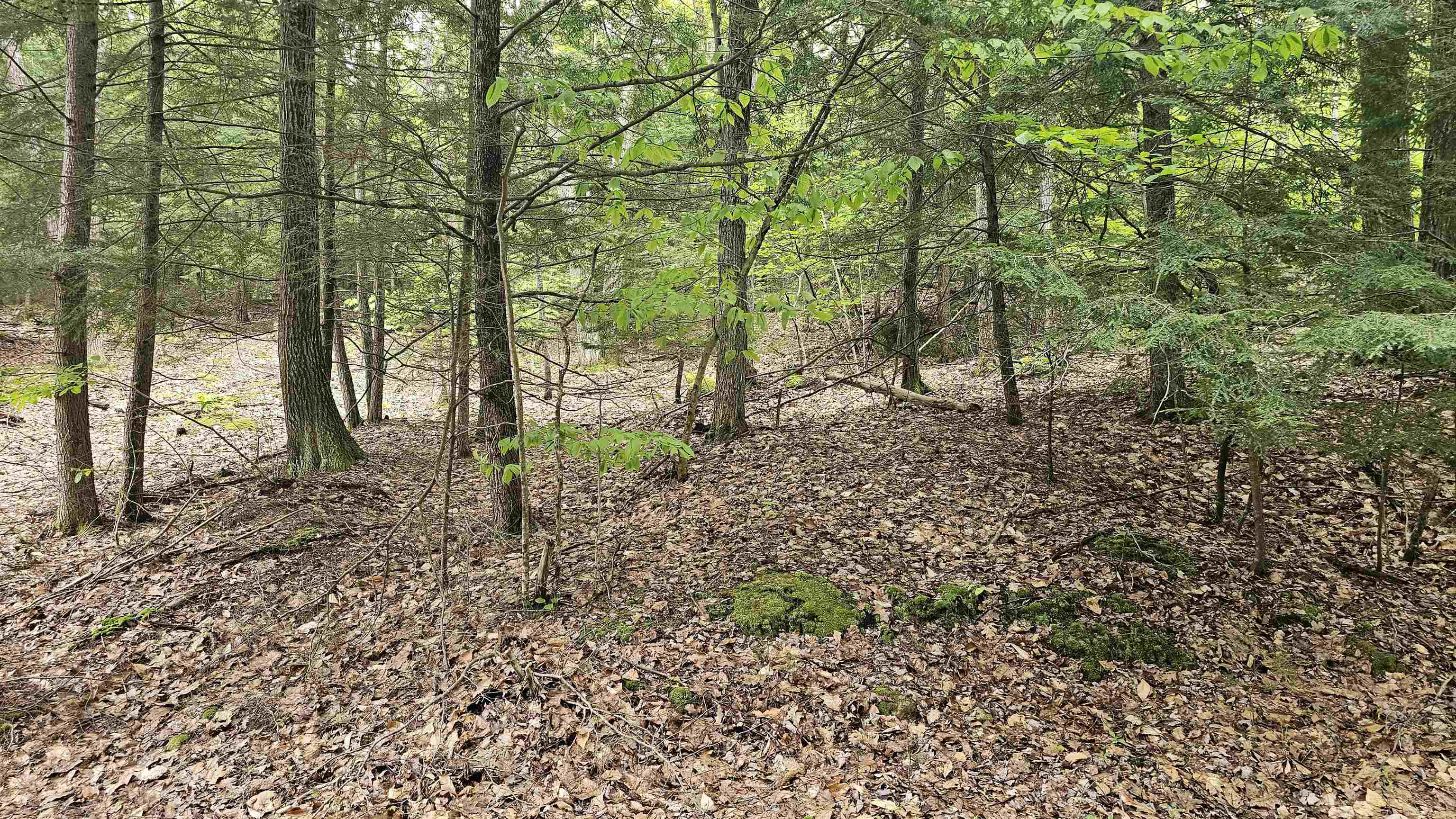 MLS #5068123 image #25