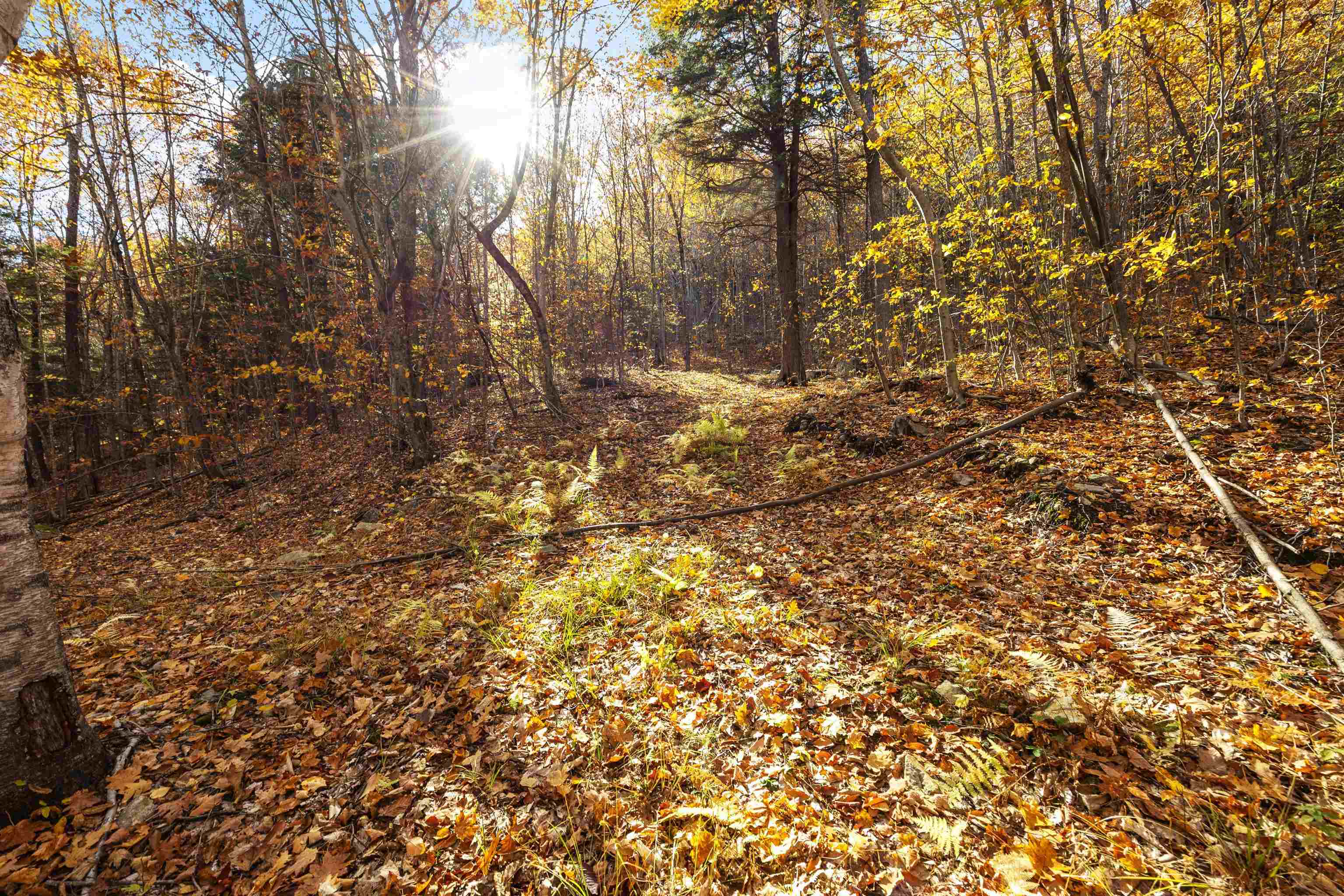 MLS #5068154 image #21