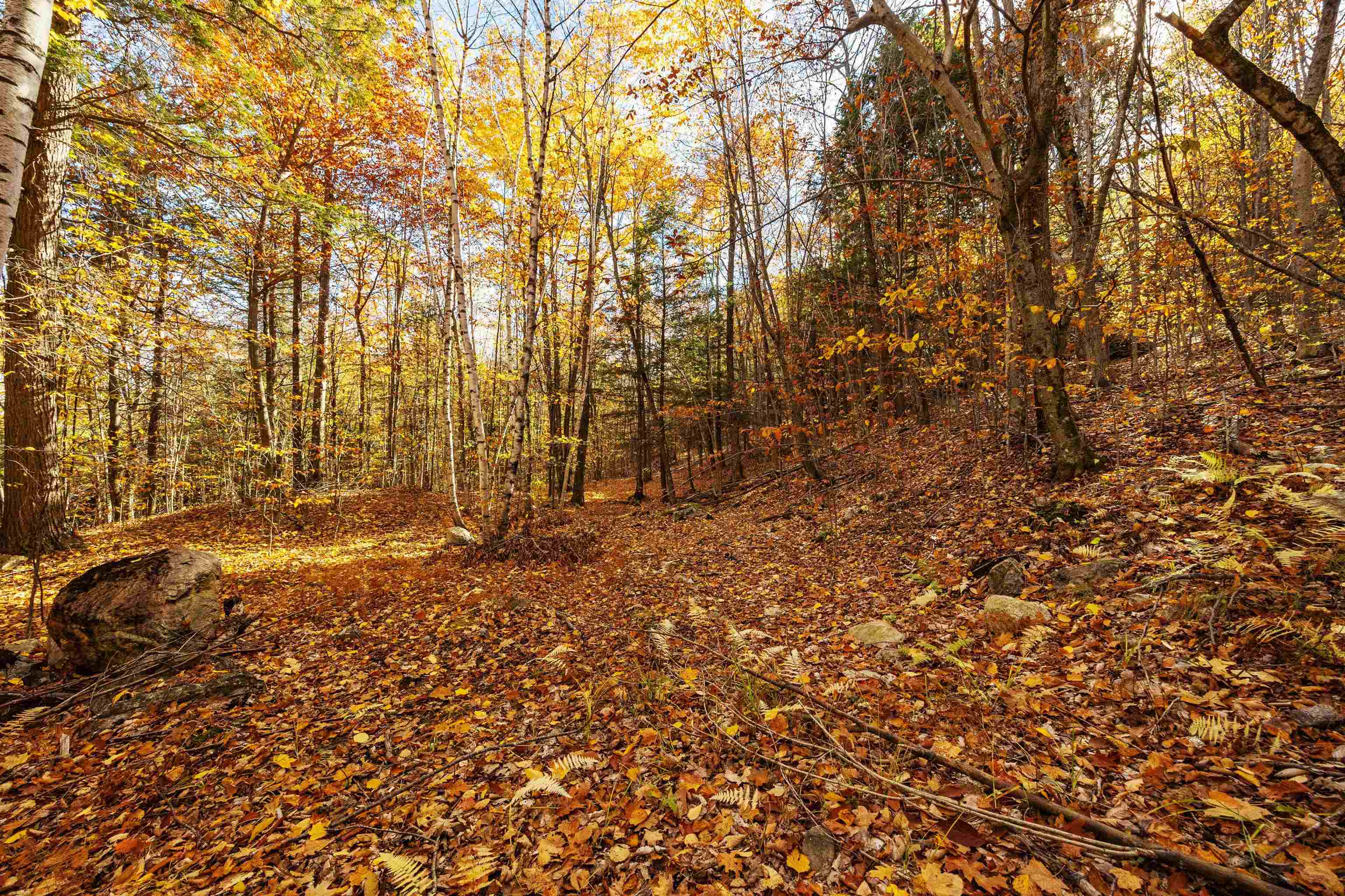 MLS #5068154 image #23