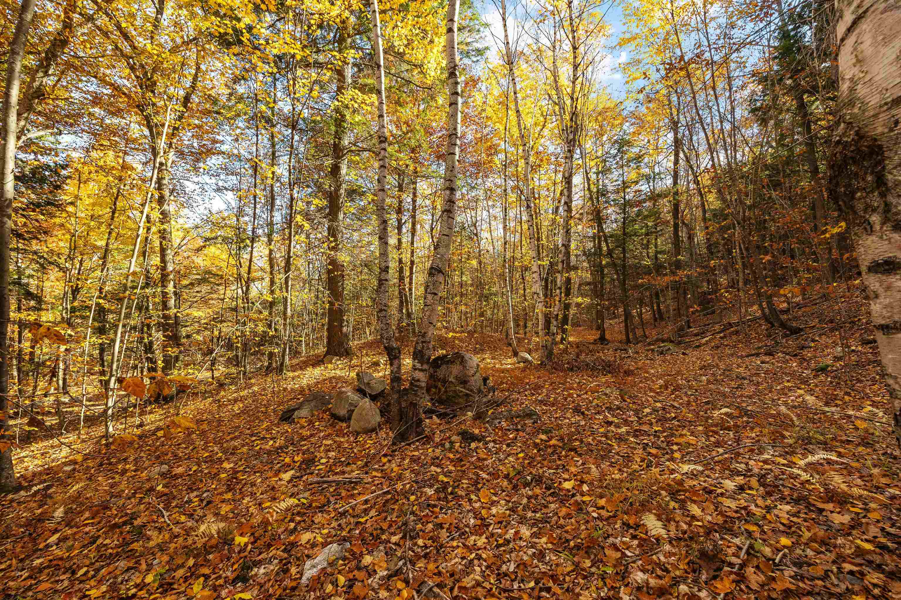 MLS #5068154 image #24