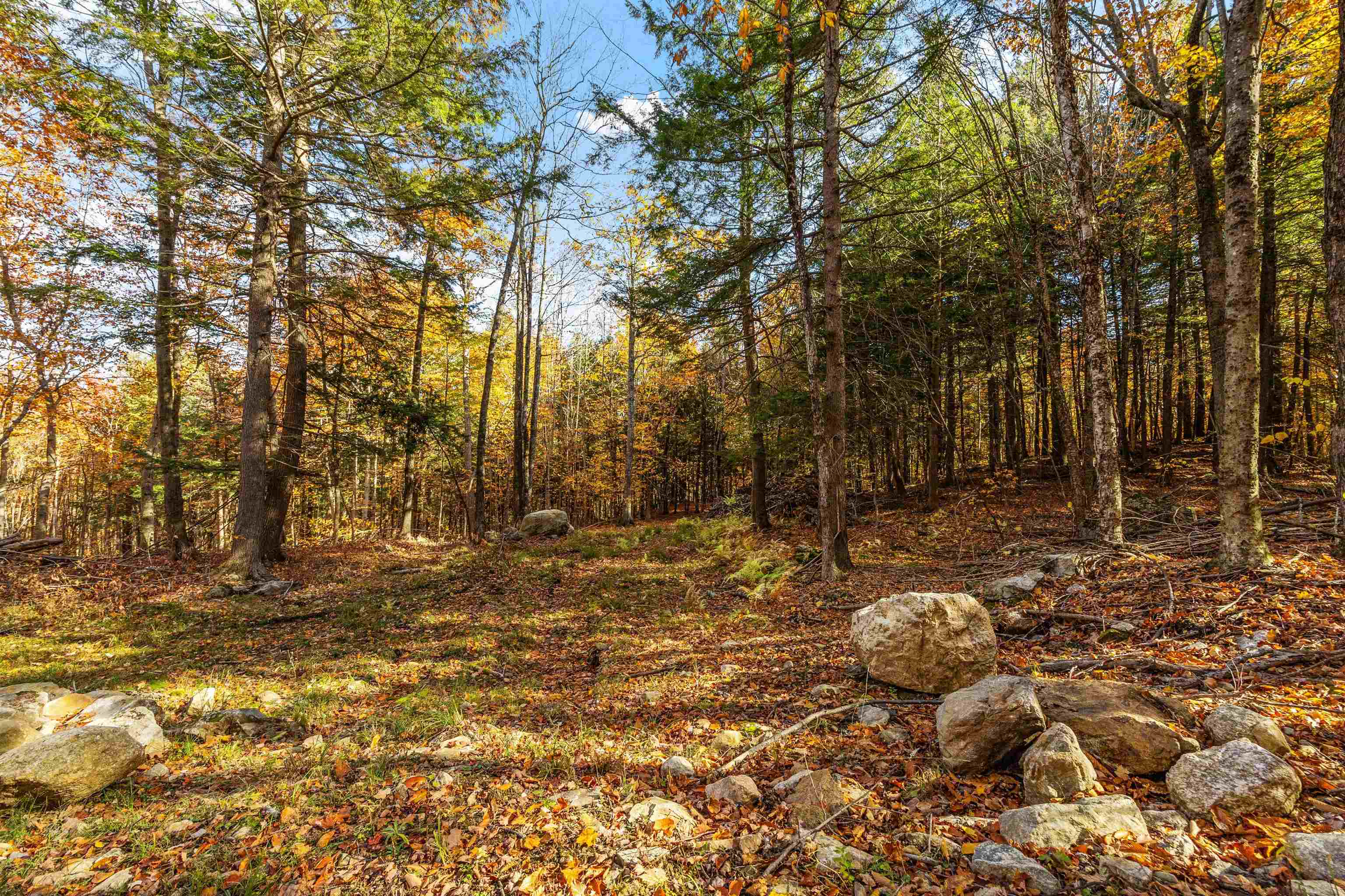 MLS #5068154 image #26