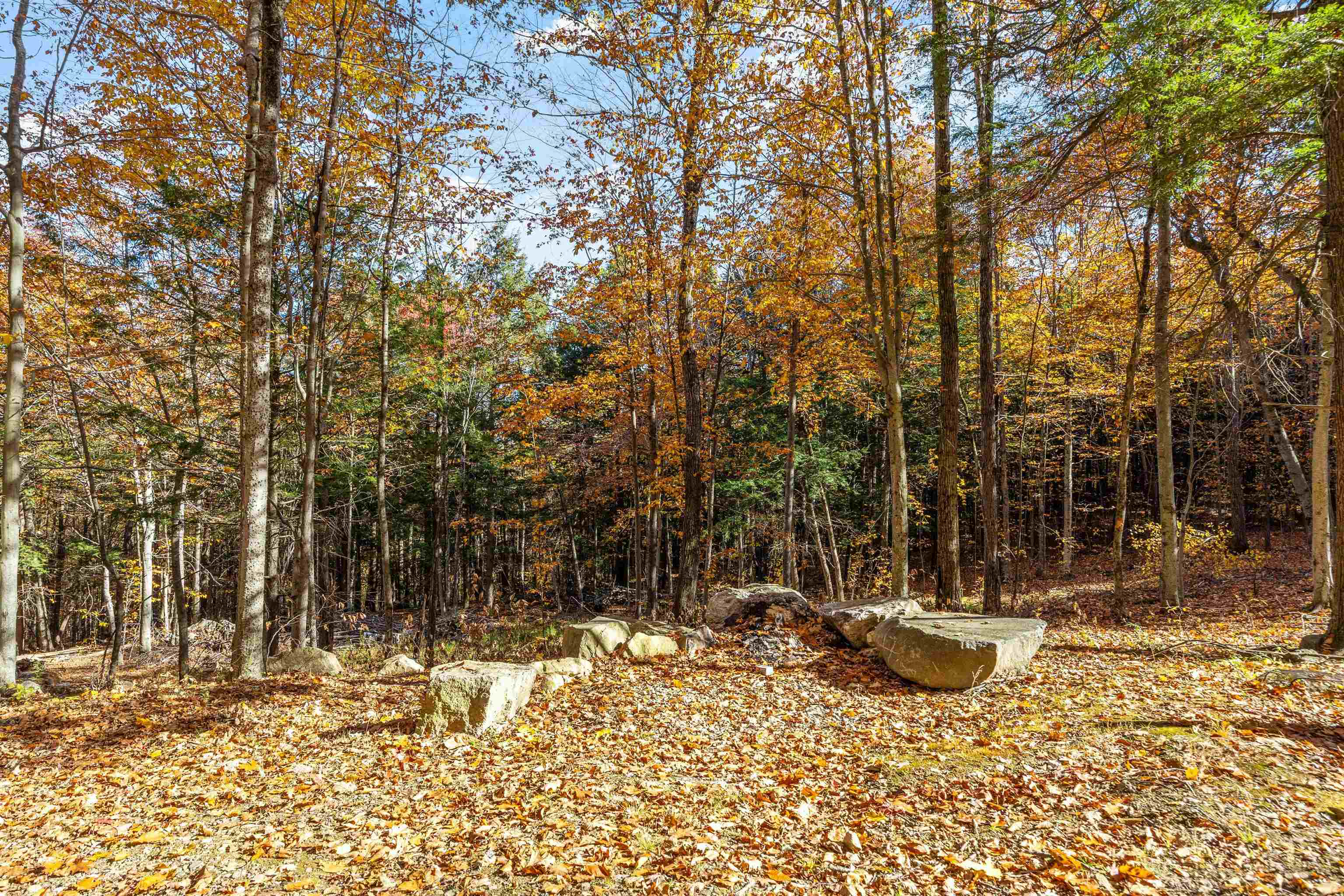 MLS #5068154 image #42