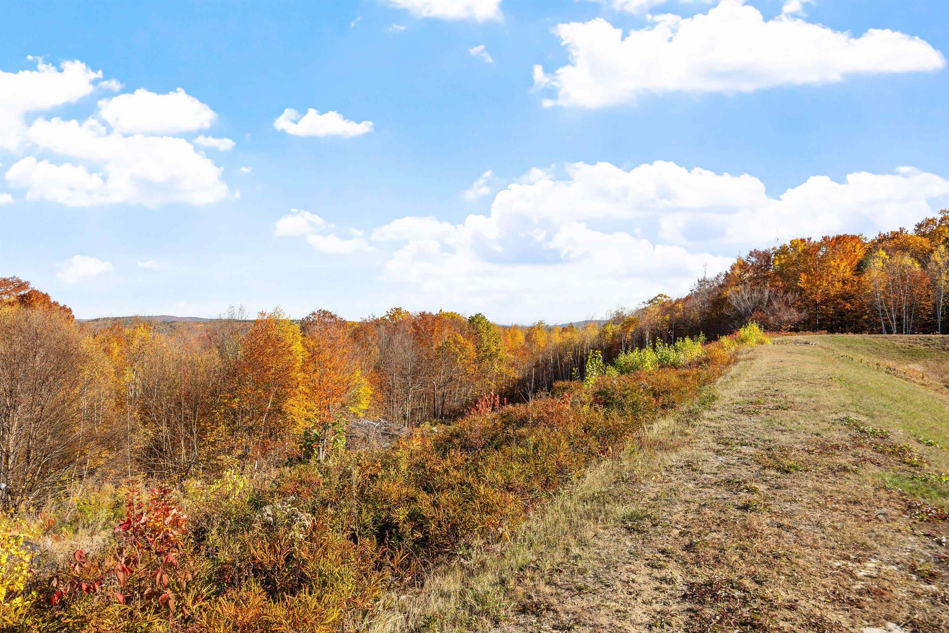 MLS #5068154 image #48