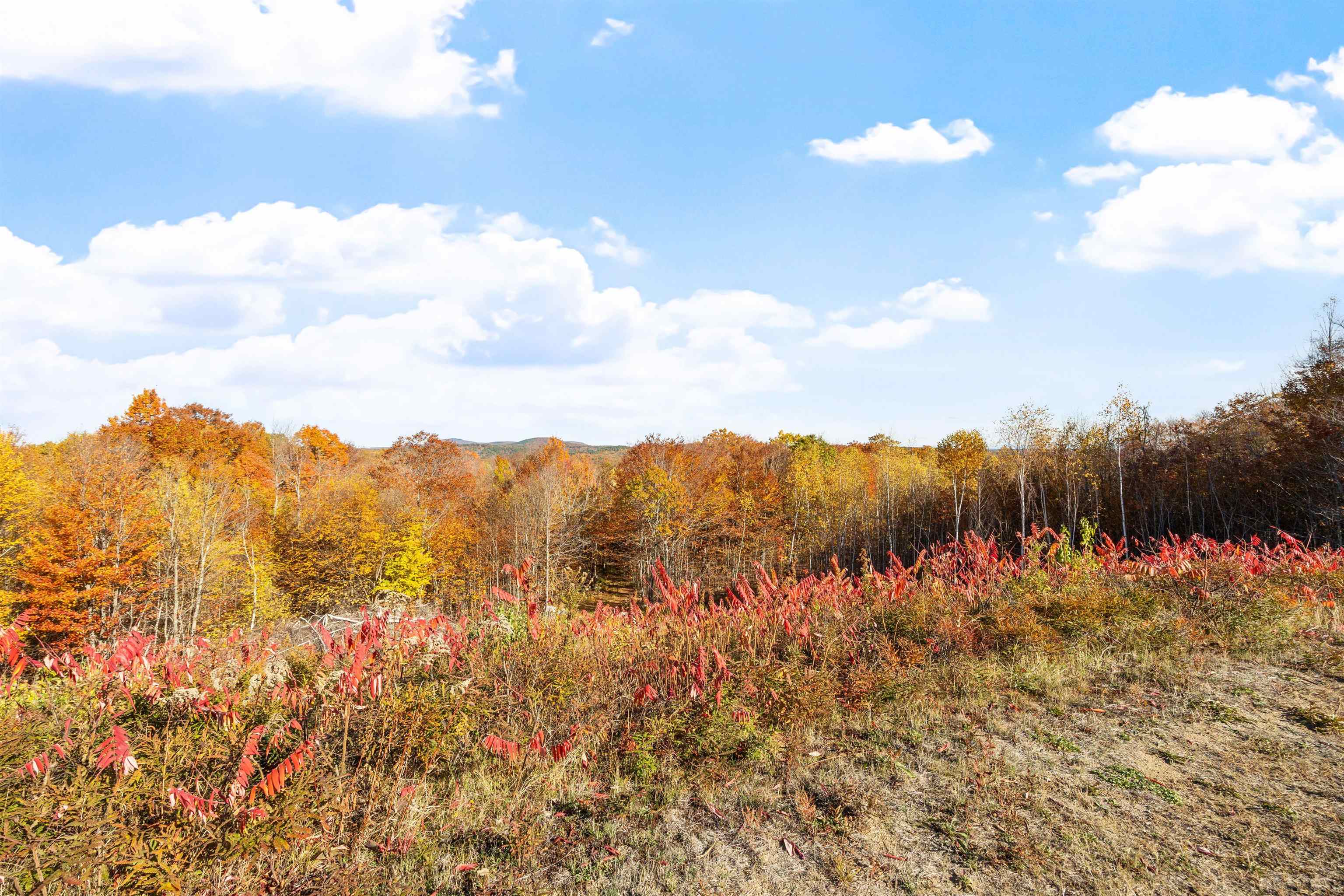 MLS #5068154 image #49