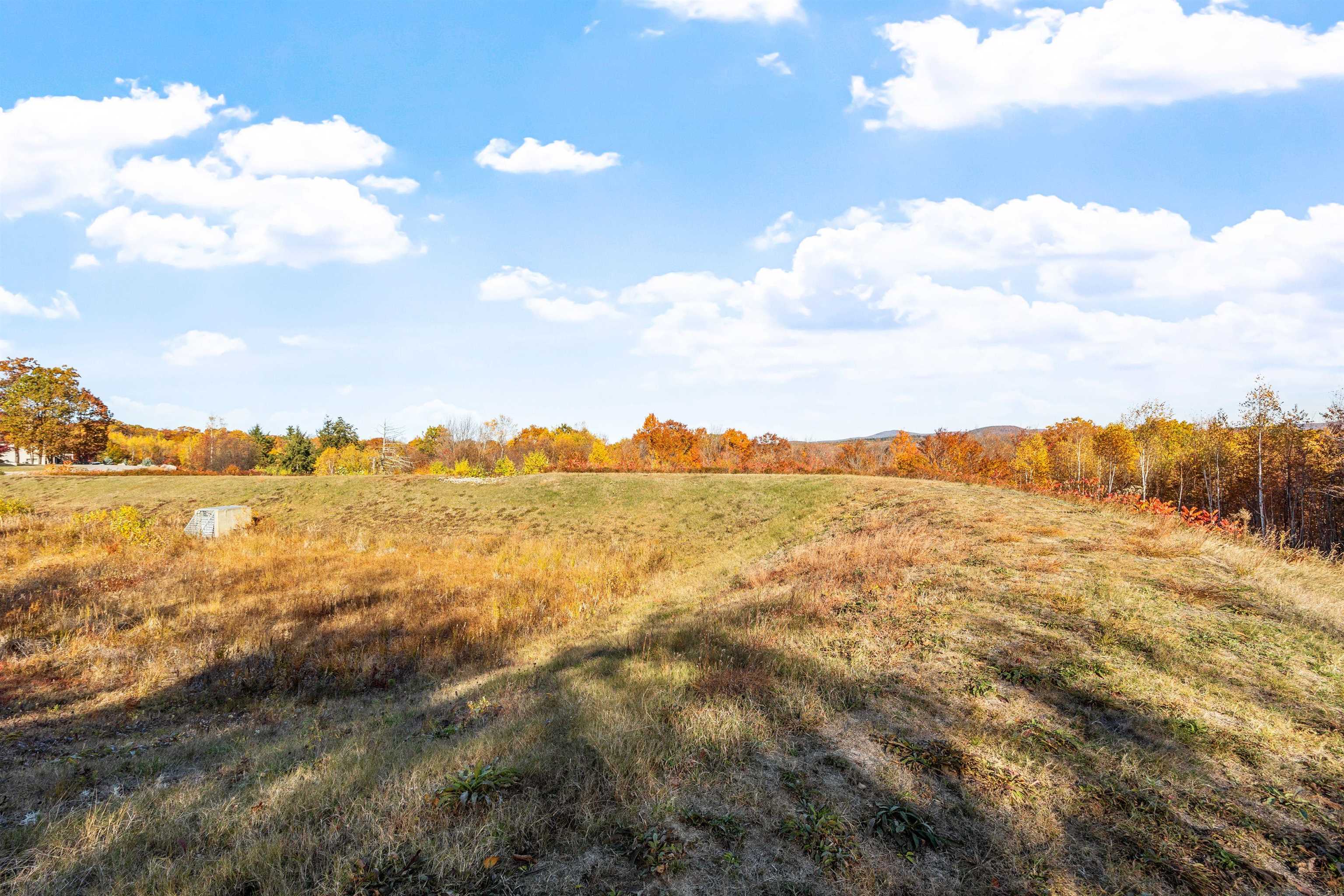 MLS #5068154 image #51