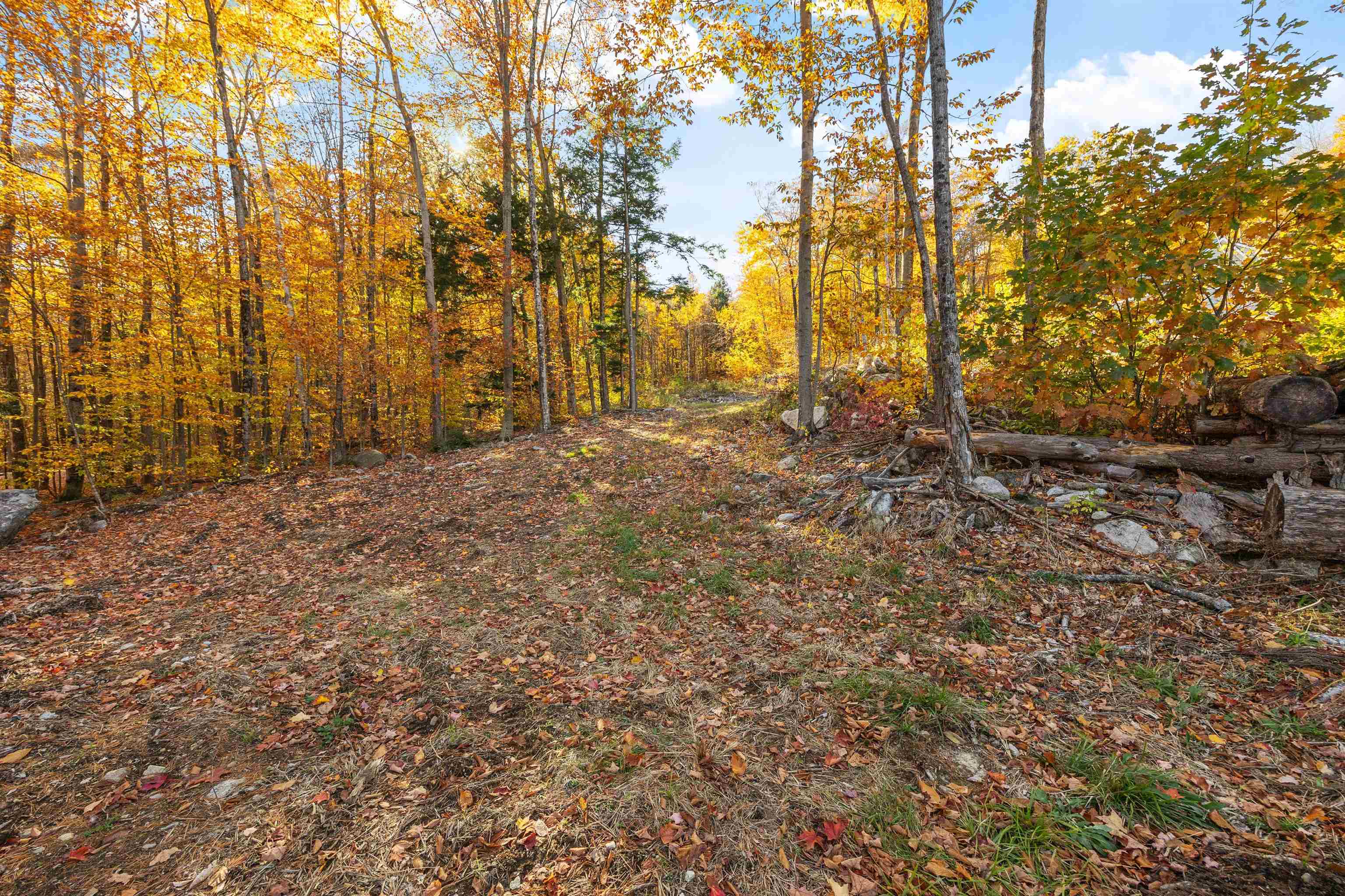 MLS #5068154 image #57