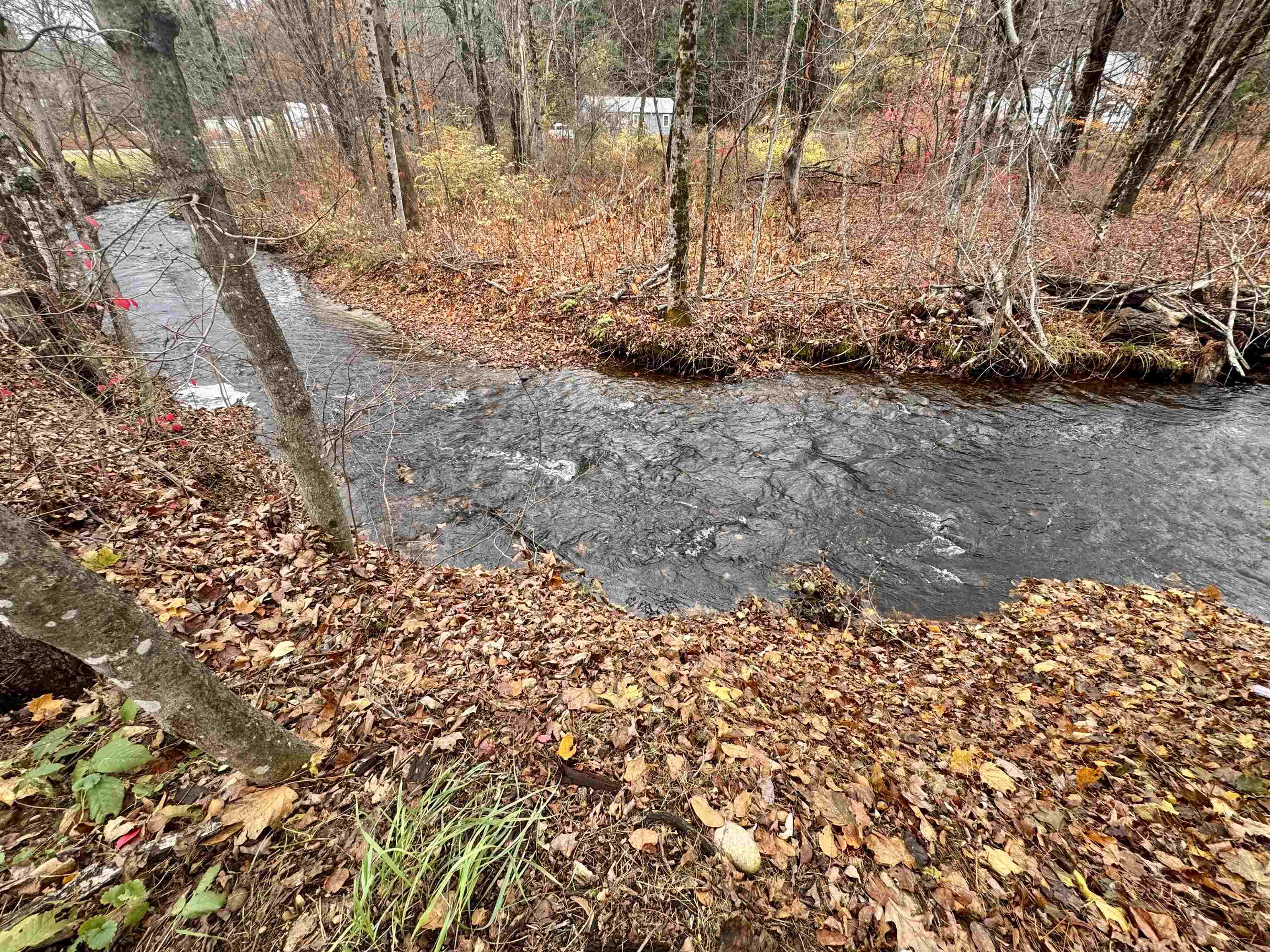 Stream along the property edge 24375389