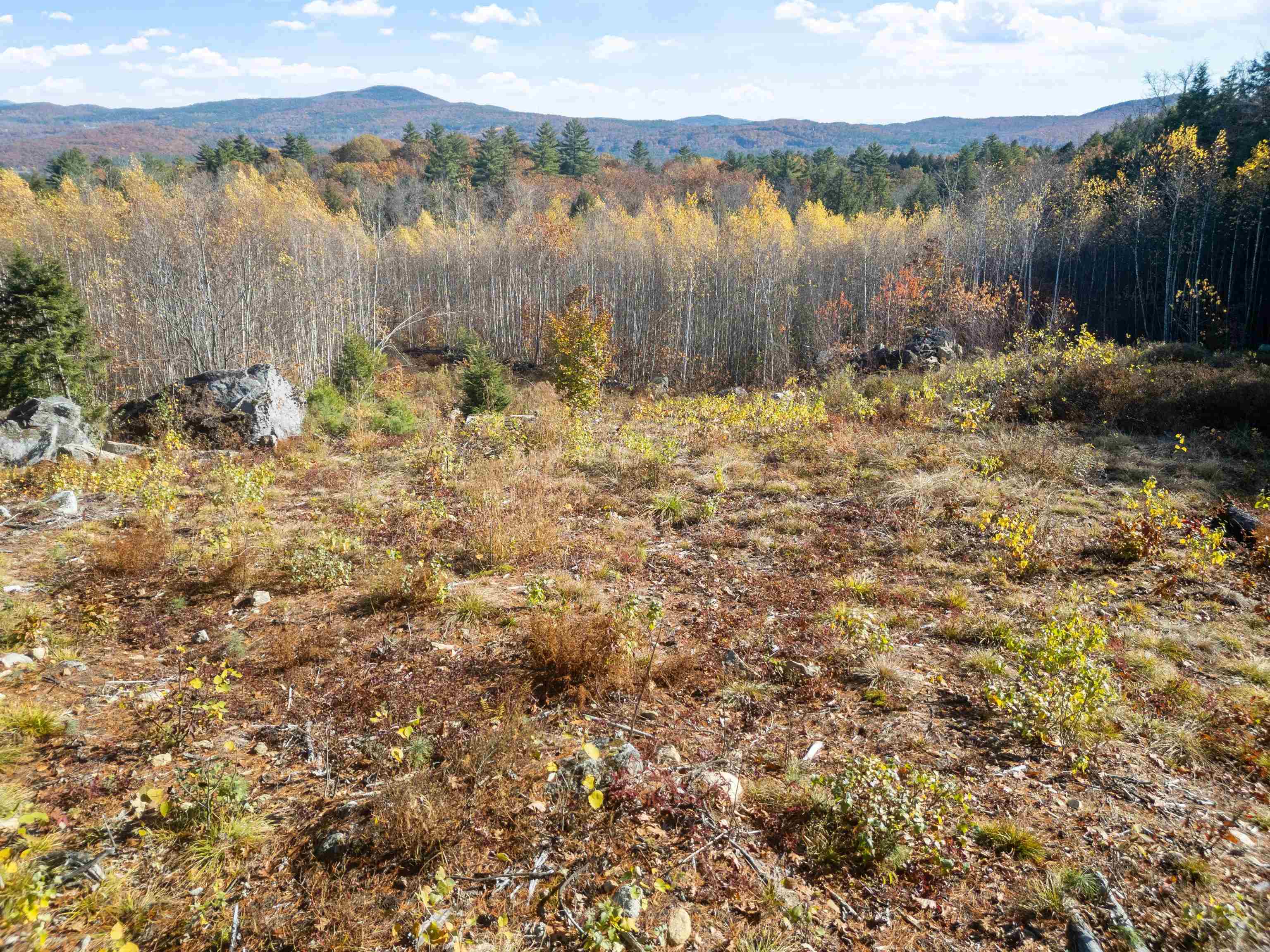 MLS #5068213 image #3