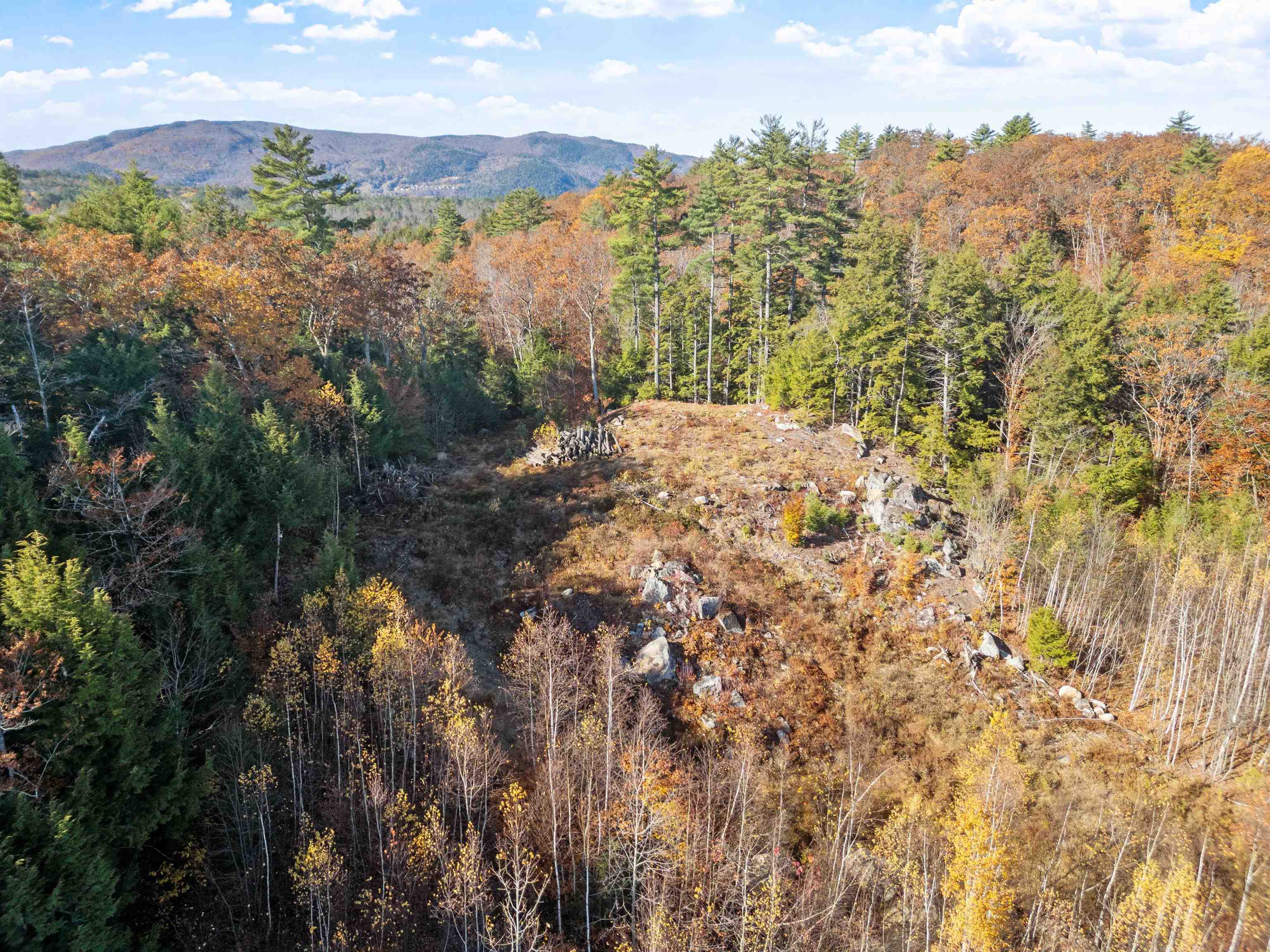 MLS #5068213 image #4