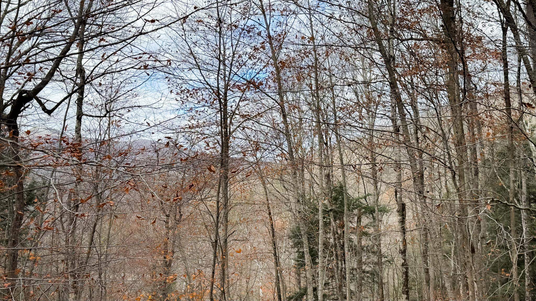 Homes for sale in Stockbridge, VT | 397 Thompson Rd, Stockbridge, VT 05772 | MLS# 5068228