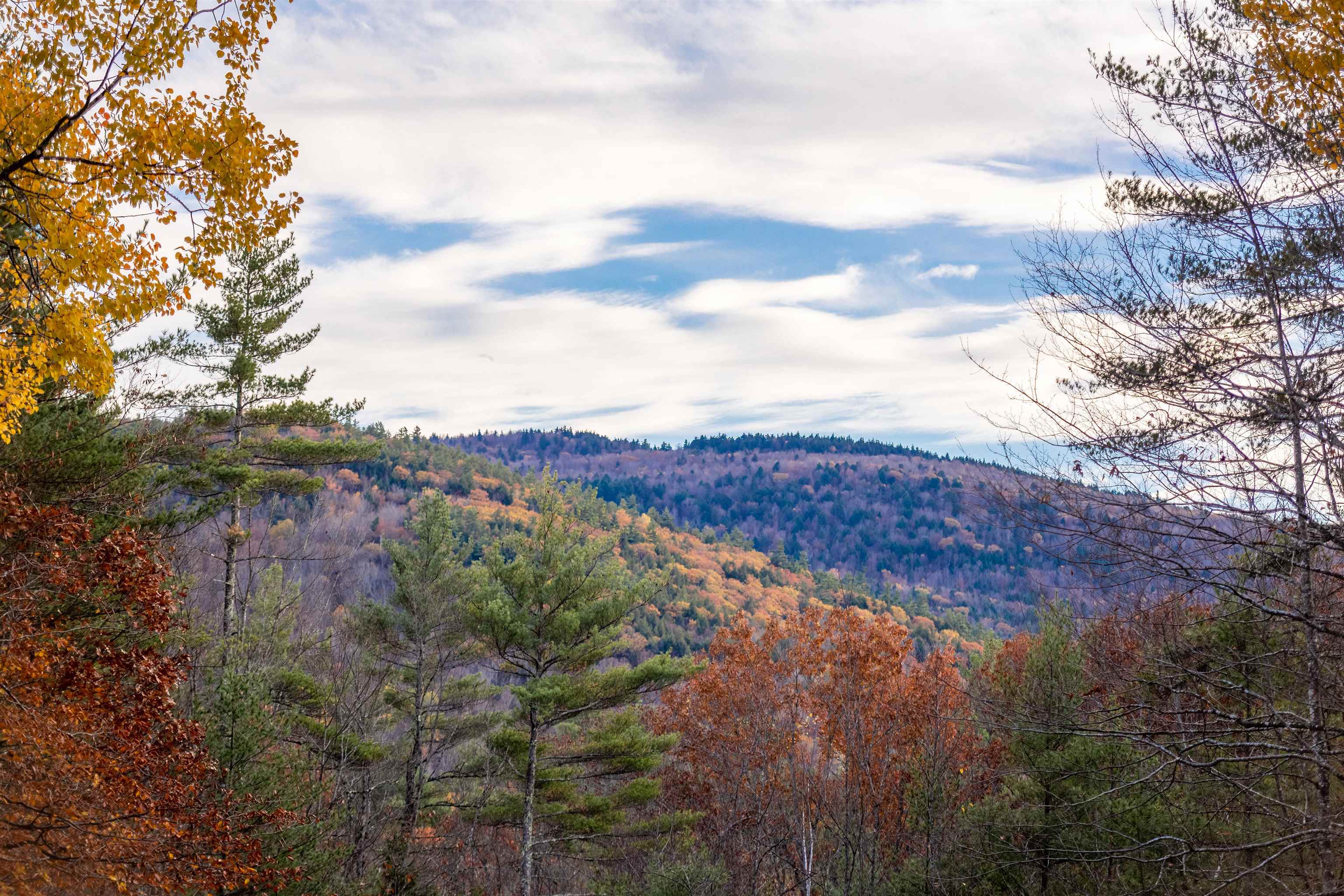 MLS #5068250 image #9