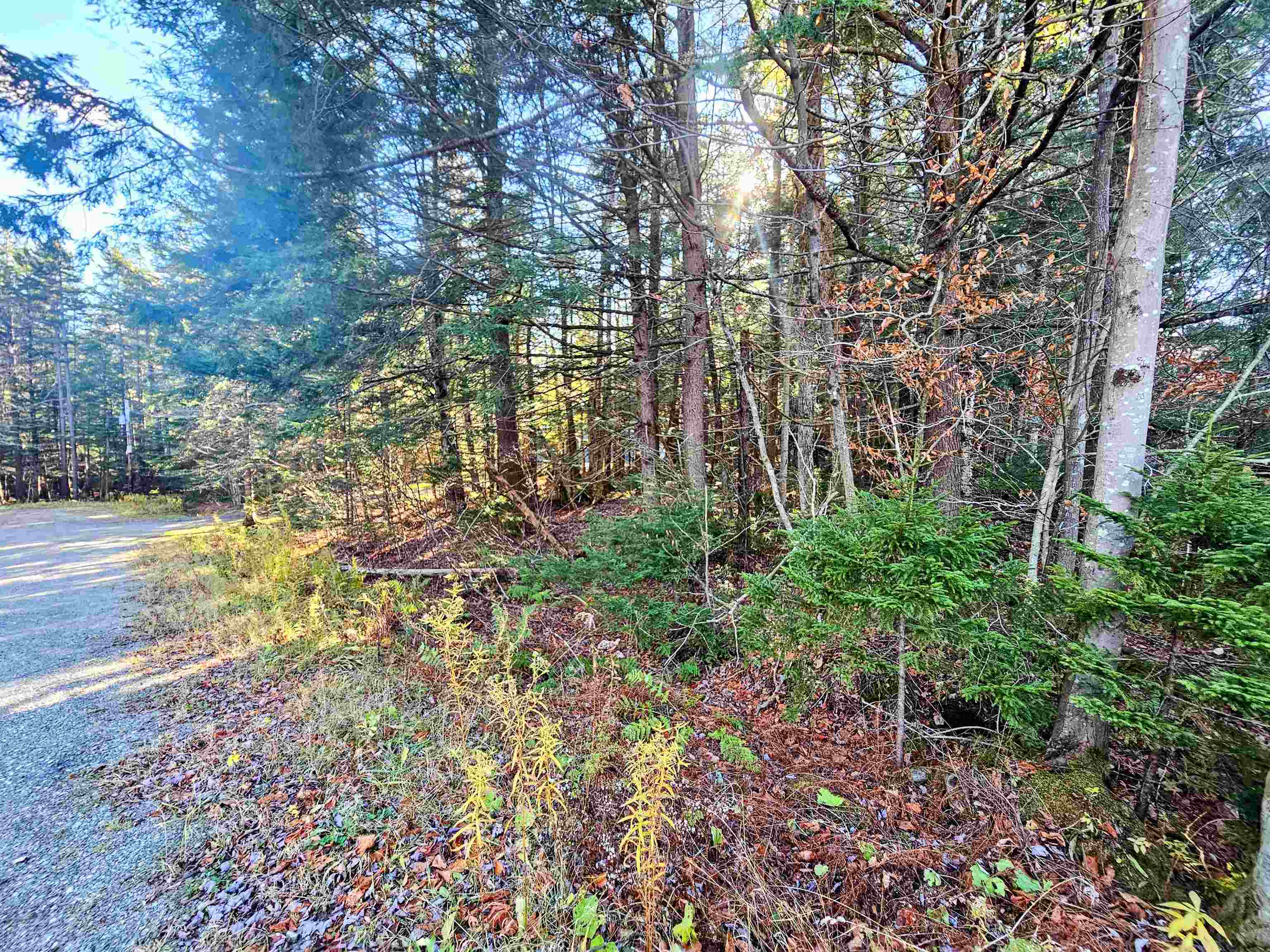 Homes for sale in Wilmington, VT | 00 Country Court Rd, Wilmington, VT 05363 | MLS# 5068297