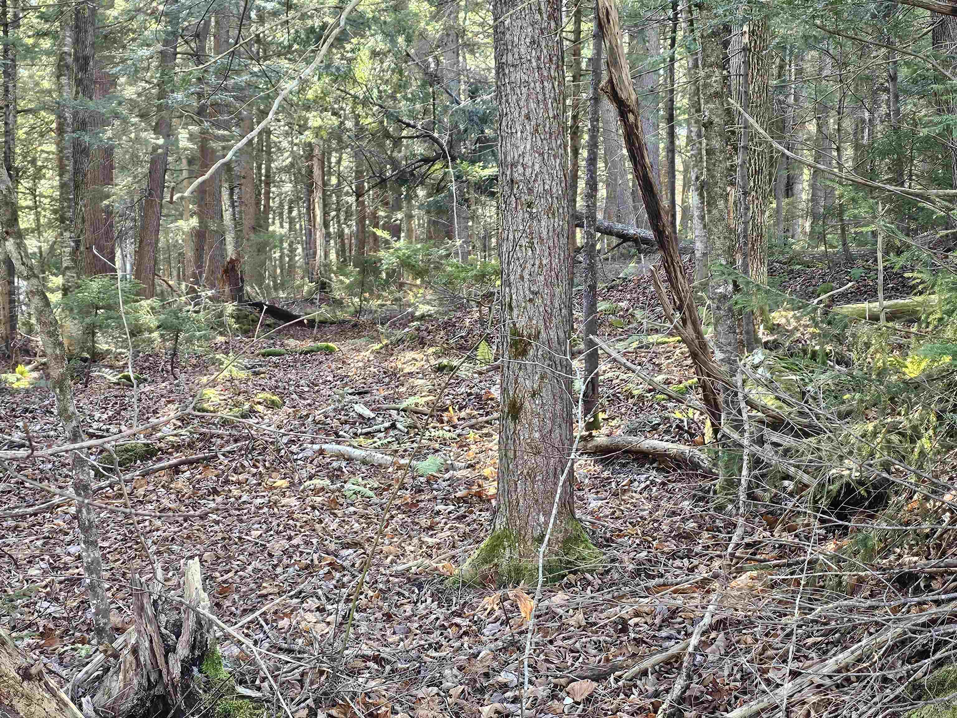 Homes for sale in Wilmington, VT | 00 Country Court Rd, Wilmington, VT 05363 | MLS# 5068297