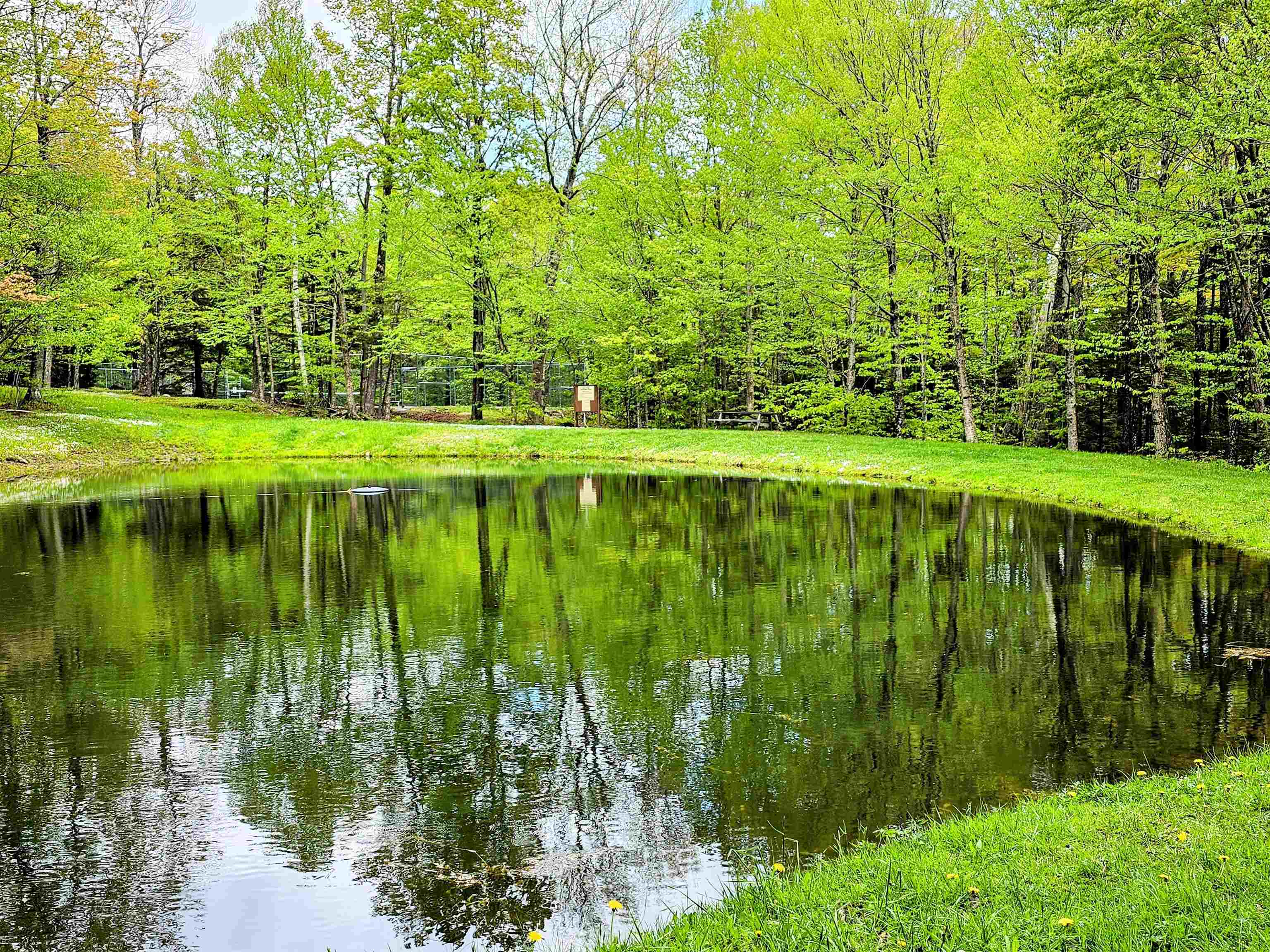 Homes for sale in Wilmington, VT | 00 Country Court Rd, Wilmington, VT 05363 | MLS# 5068297