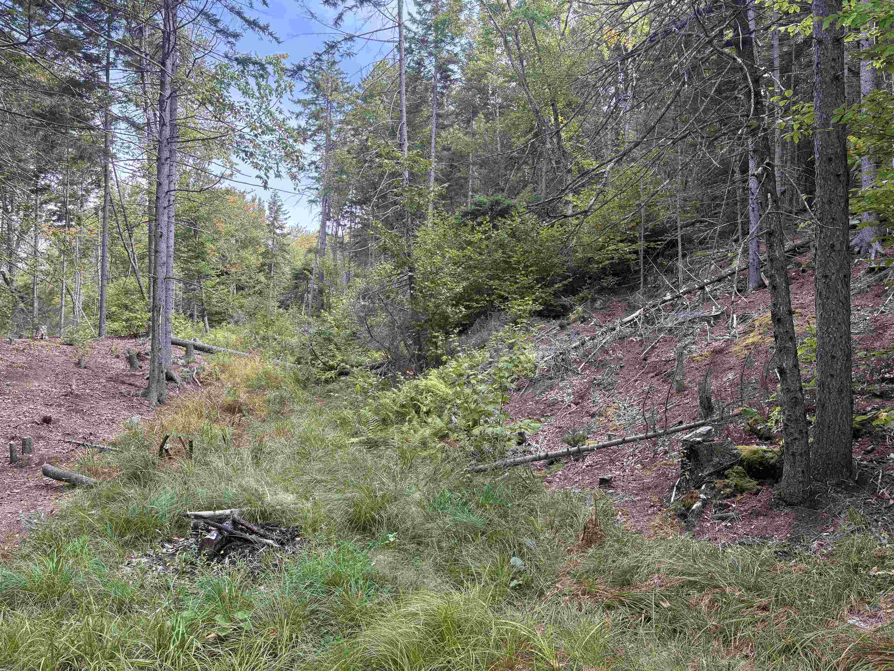 Homes for sale in Roxbury, VT | 0 Beaver Meadow Rd, Roxbury, VT 05669 | MLS# 5068315