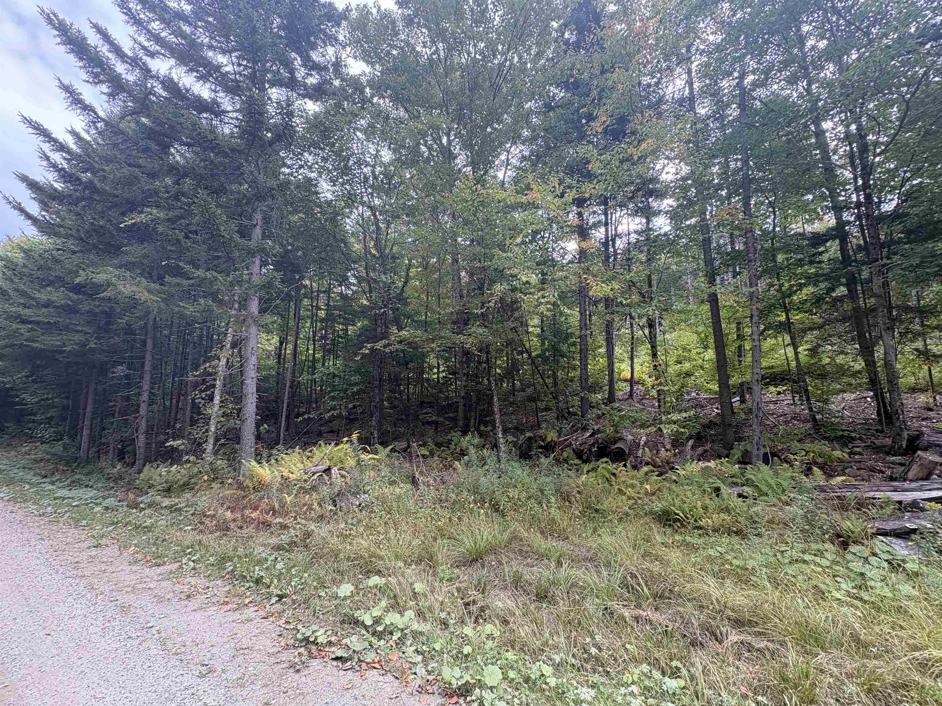 Homes for sale in Roxbury, VT | 0 Beaver Meadow Rd, Roxbury, VT 05669 | MLS# 5068315