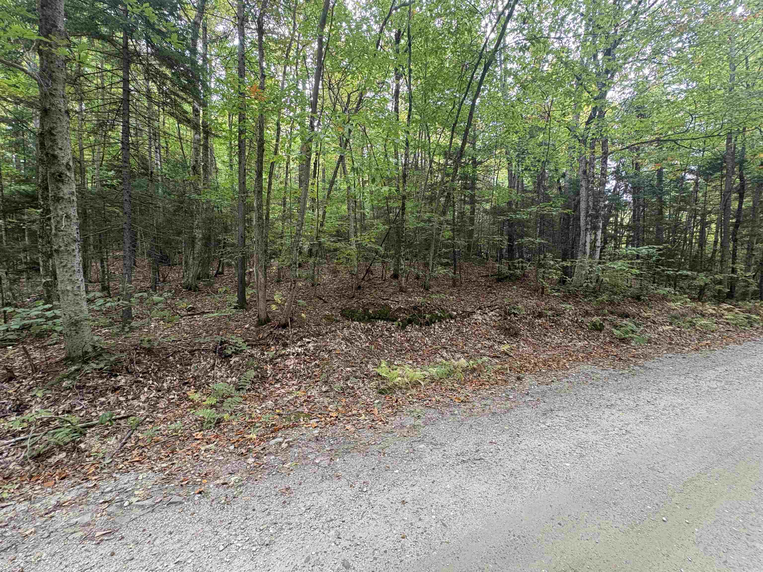 Homes for sale in Roxbury, VT | 0 Beaver Meadow Rd, Roxbury, VT 05669 | MLS# 5068315