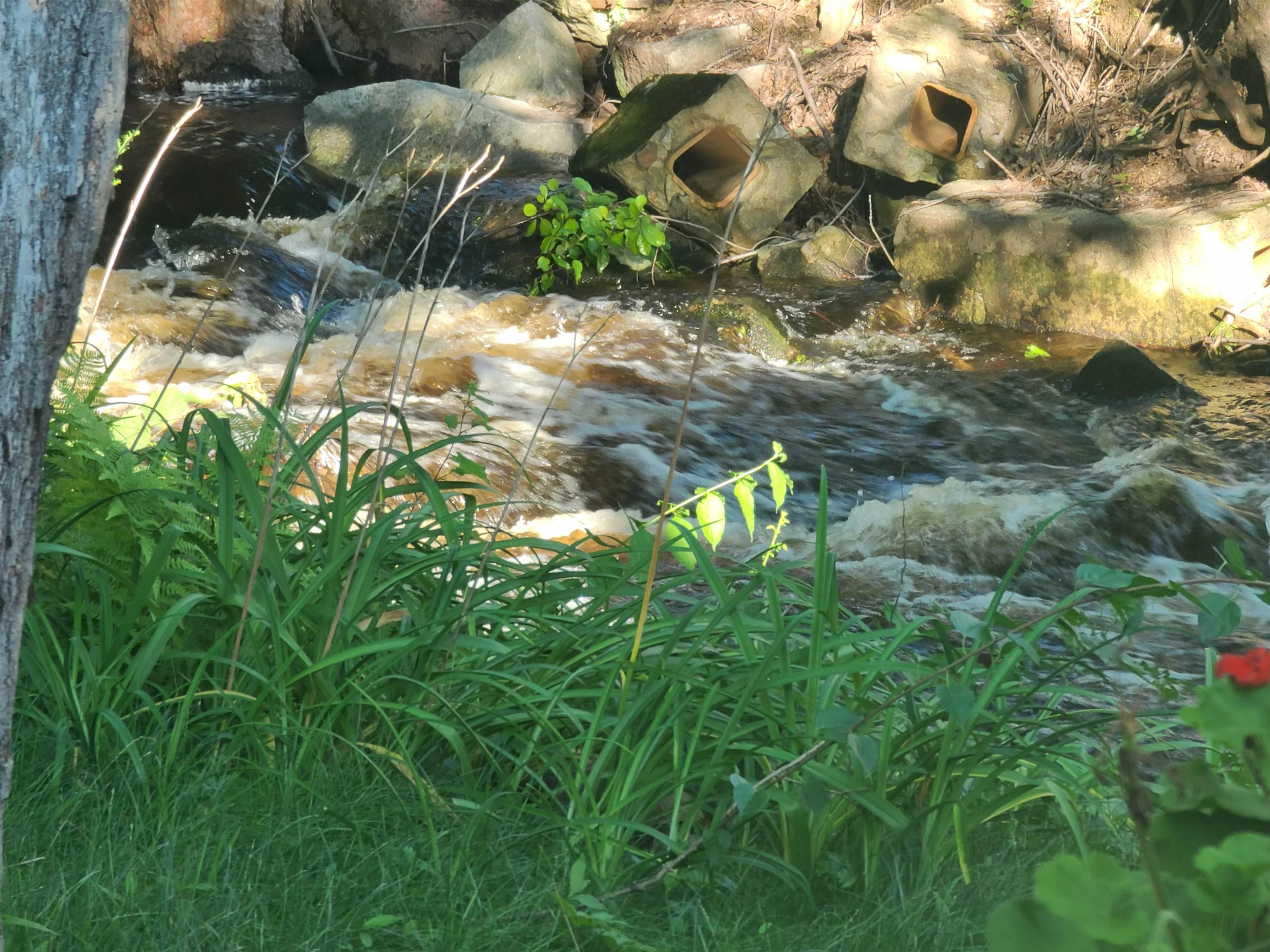 MLS #5068318 image #33