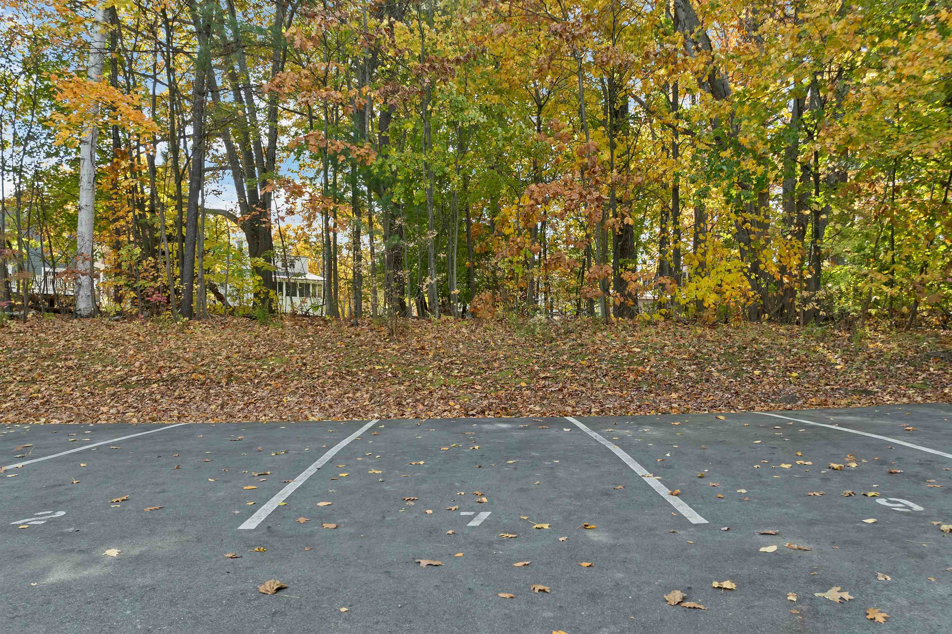 MLS #5068385 image #33