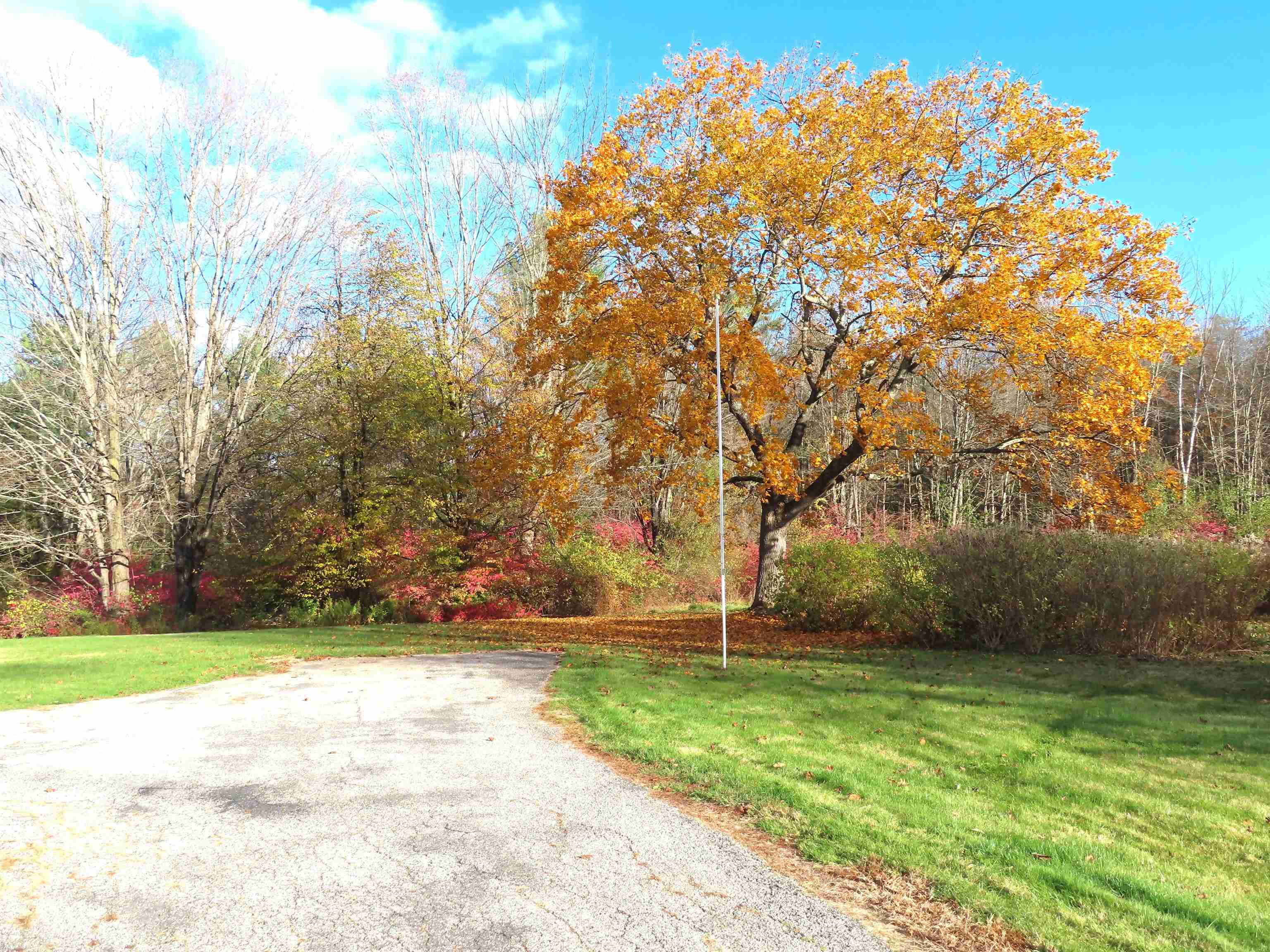 MLS #5068411 image #48