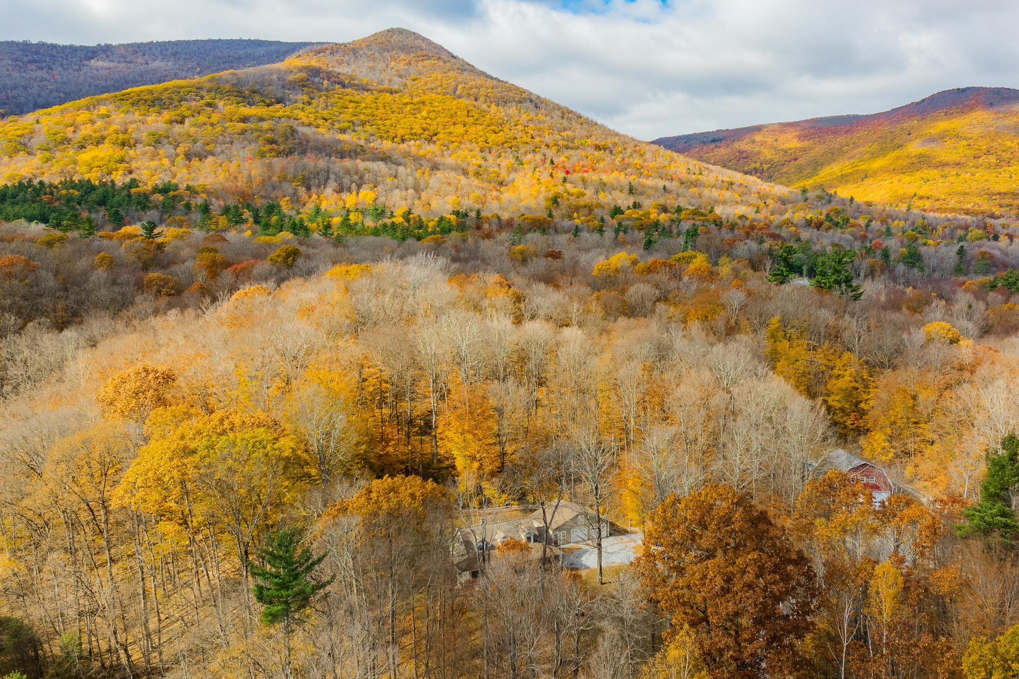 Homes for sale in Arlington, VT | 181 White Tail Run, Arlington, VT 05250 | MLS# 5068415
