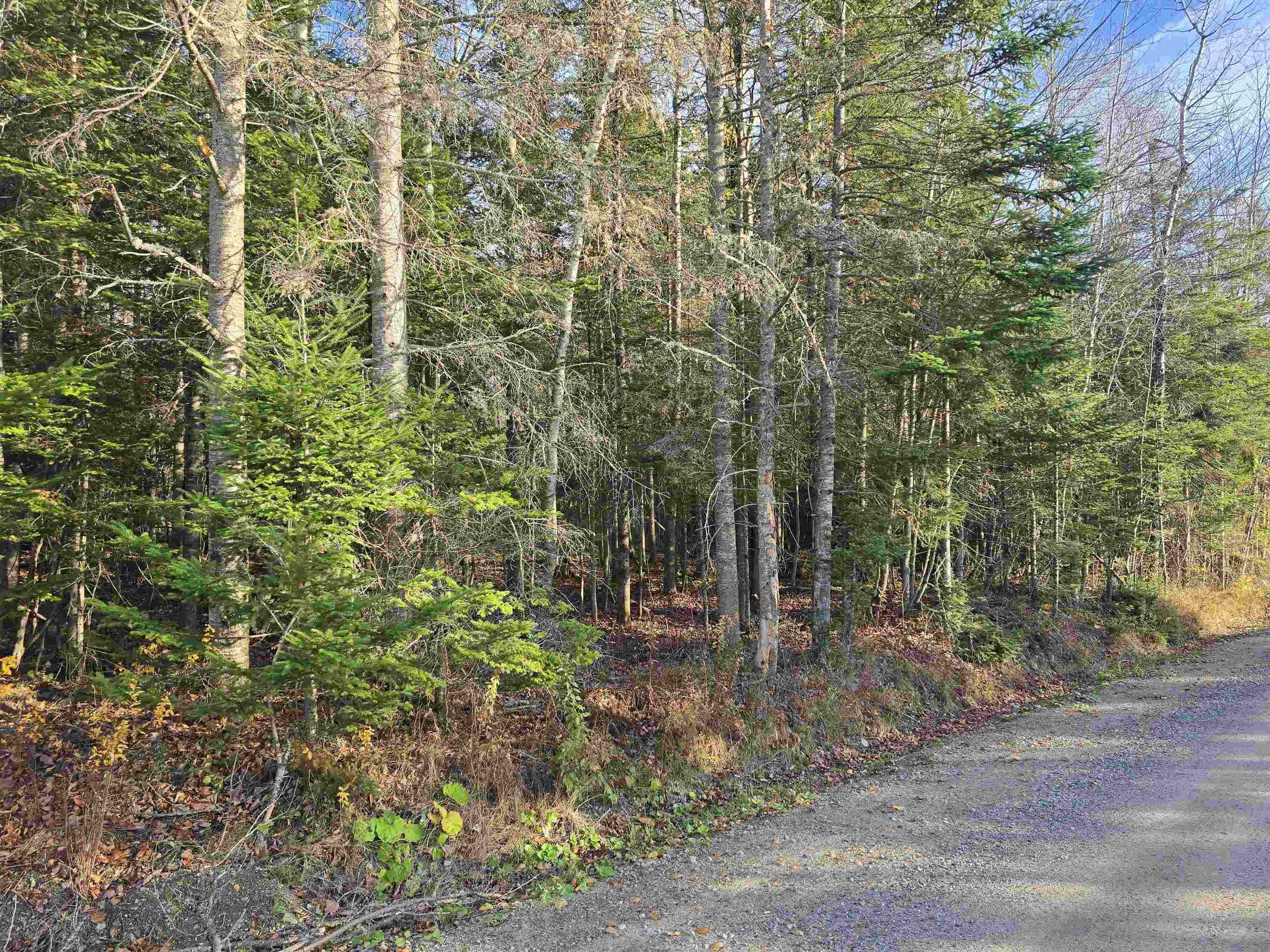 Homes for sale in Dummer, NH | Hawkins Rd, Dummer, NH 03588 | MLS# 5068423