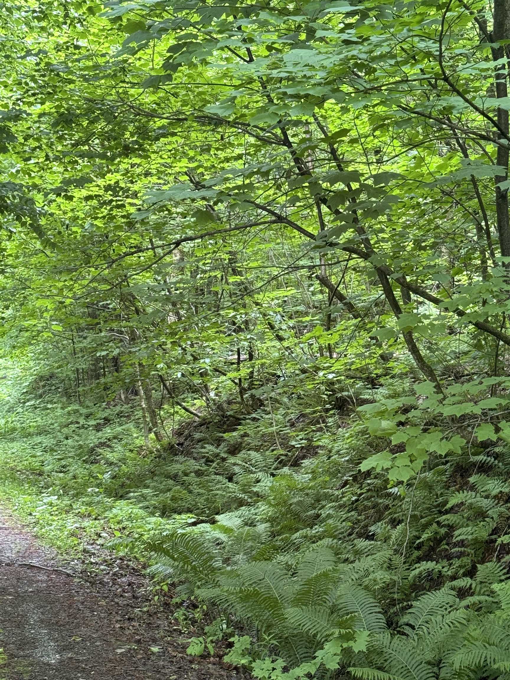 Homes for sale in Enosburg, VT | 680 Deming Rd, Enosburg, VT 05450 | MLS# 5068436