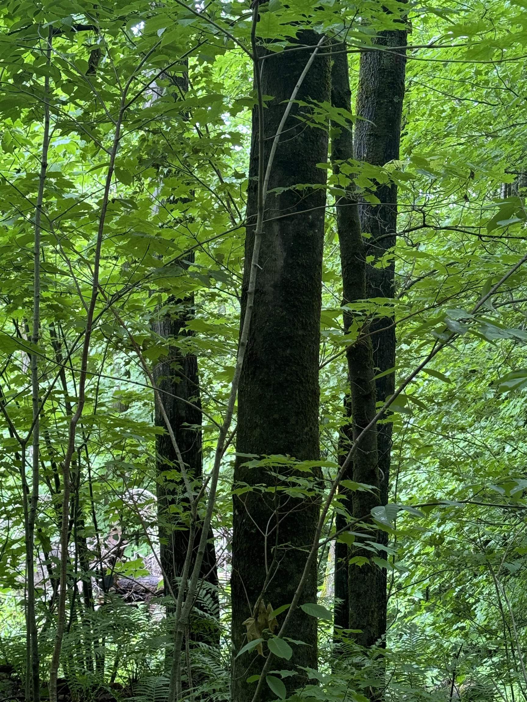 Homes for sale in Enosburg, VT | 680 Deming Rd, Enosburg, VT 05450 | MLS# 5068436