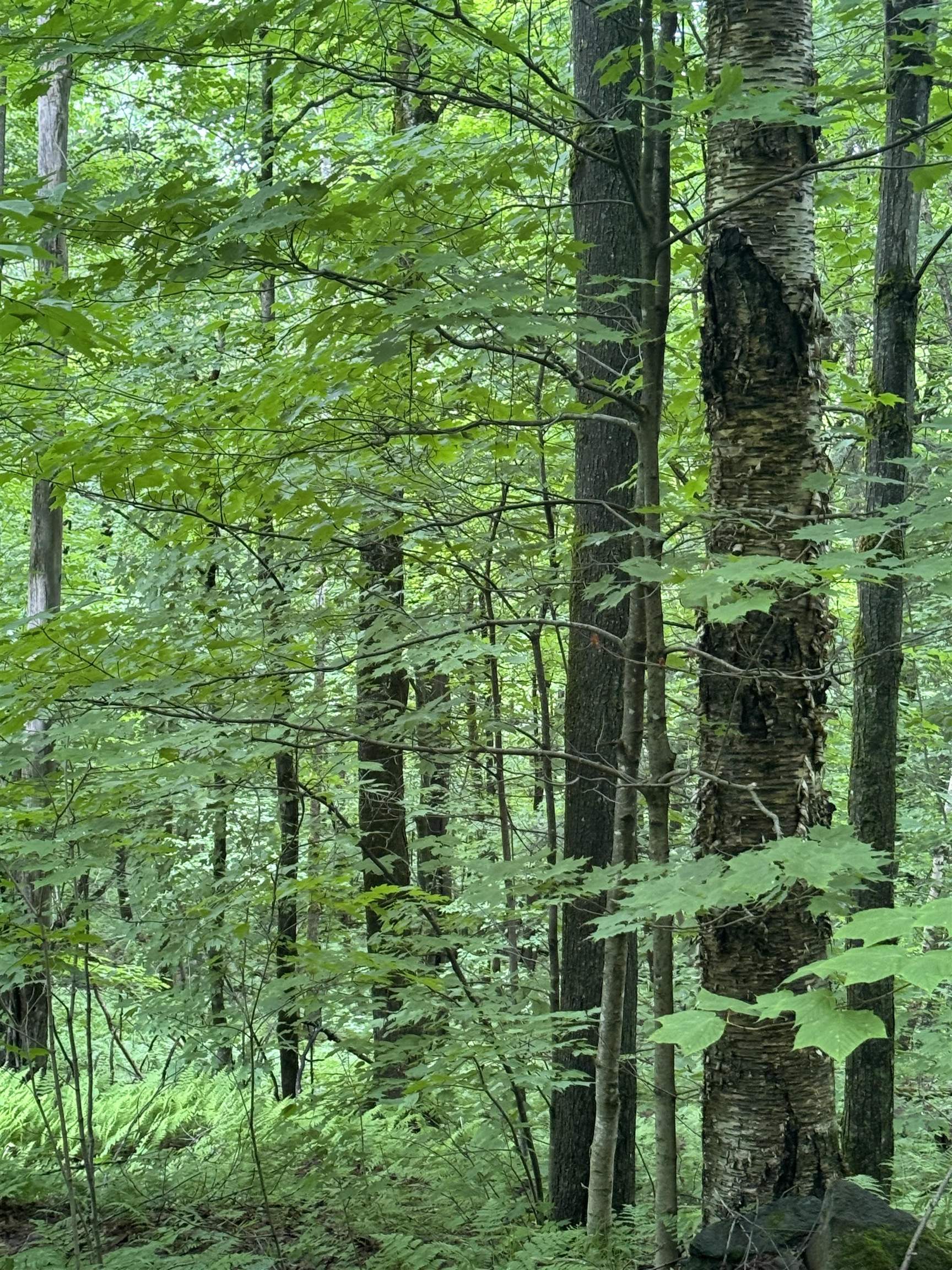 Homes for sale in Enosburg, VT | 680 Deming Rd, Enosburg, VT 05450 | MLS# 5068436